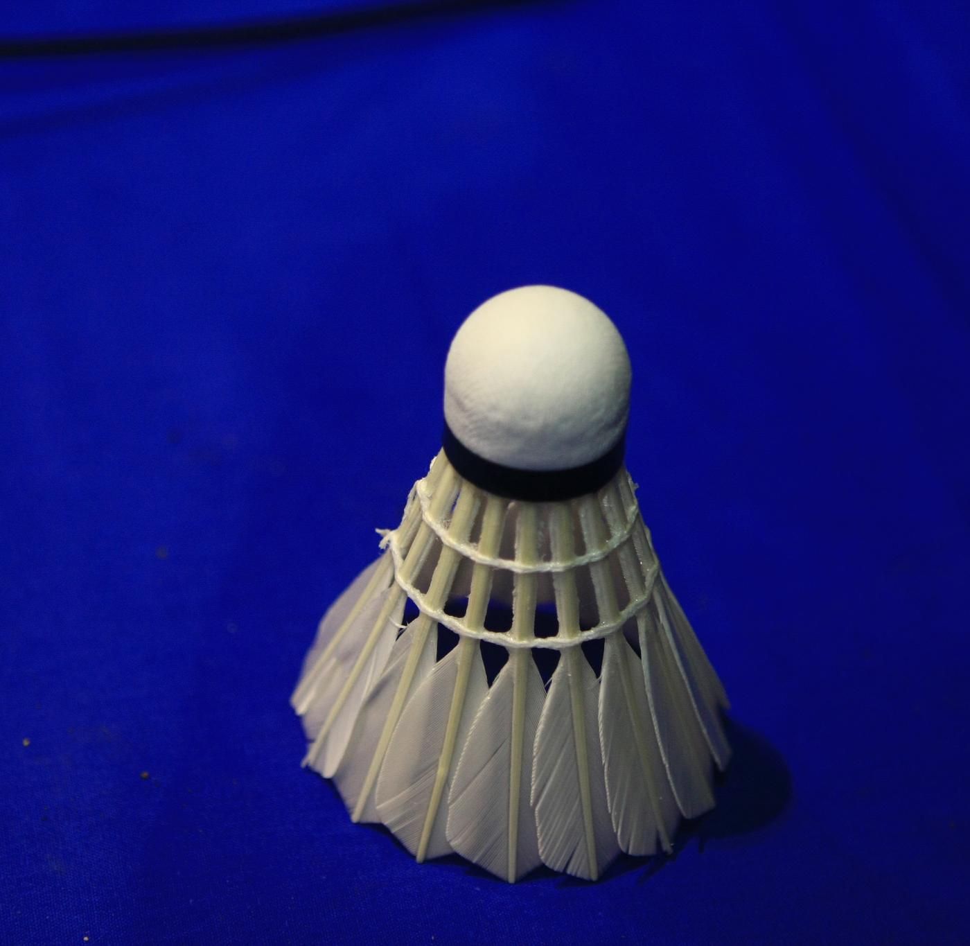 Lose Lose by WNYC Studios