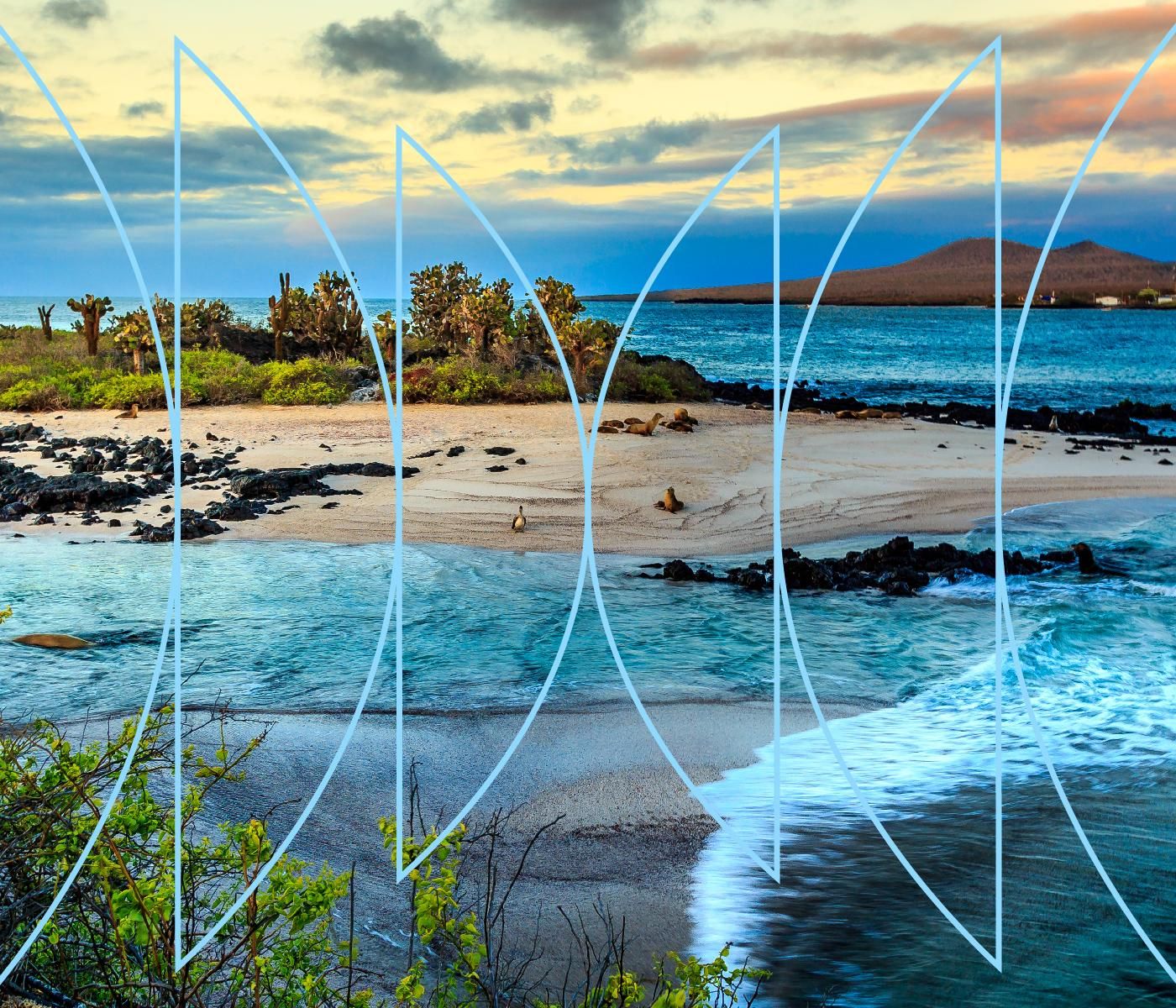 Galápagos by WNYC Studios