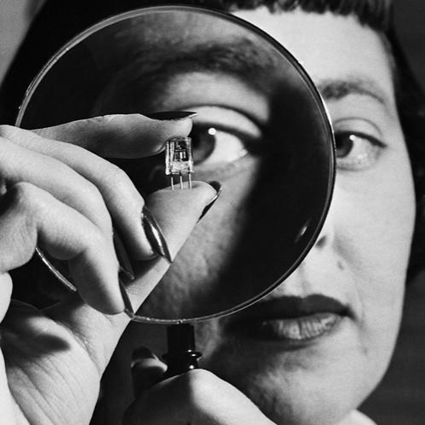 BONUS: Radiolab Scavenger Hunt by WNYC Studios