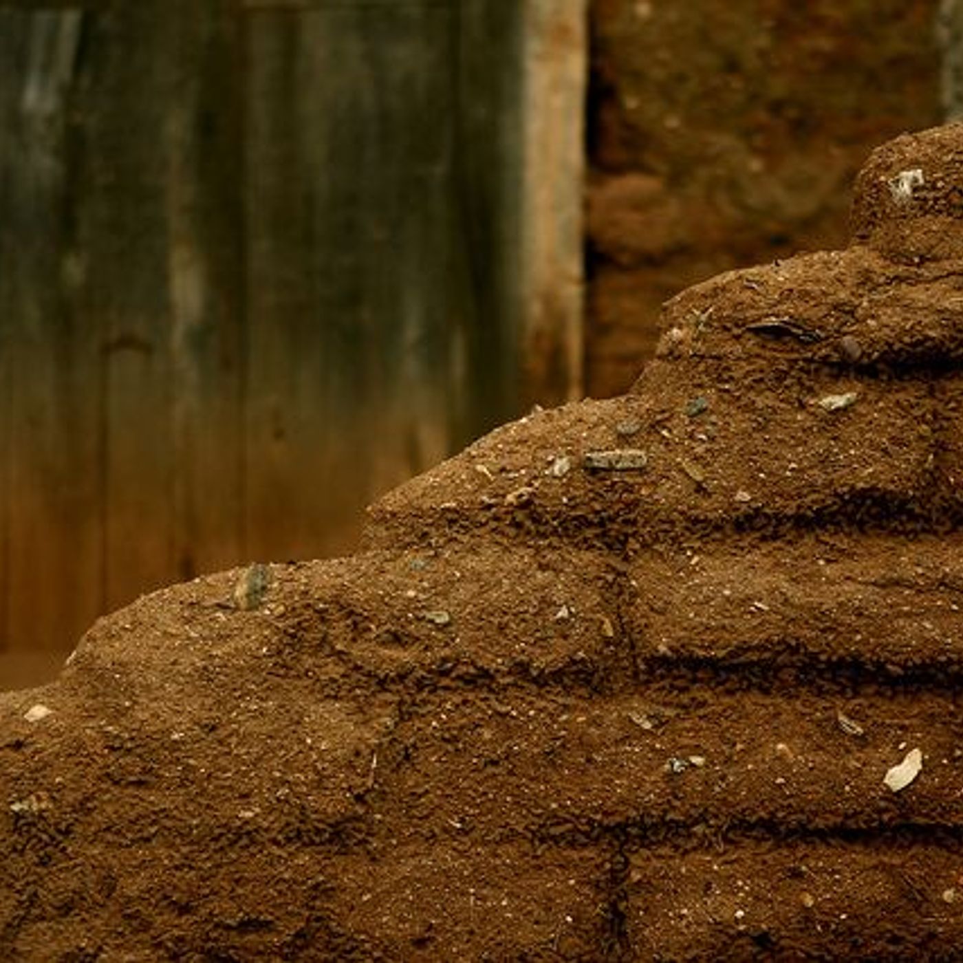 The Walls of Jericho by WNYC Studios