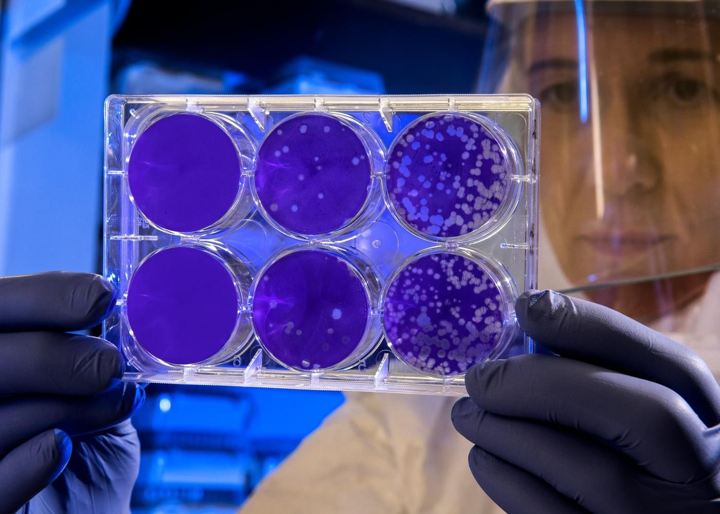 Dispatch 14: Covid Crystal Ball by WNYC Studios