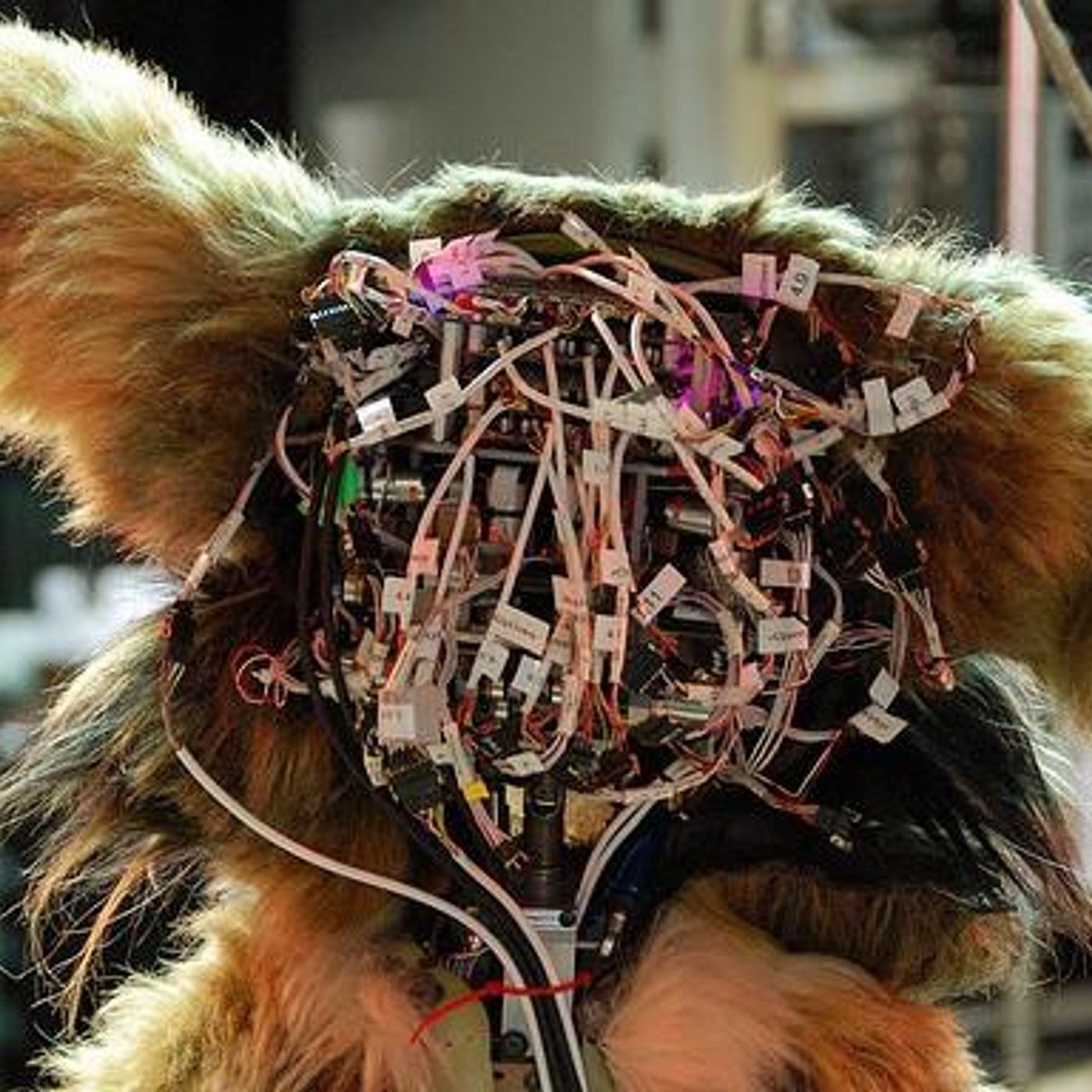 Talking to Machines by WNYC Studios