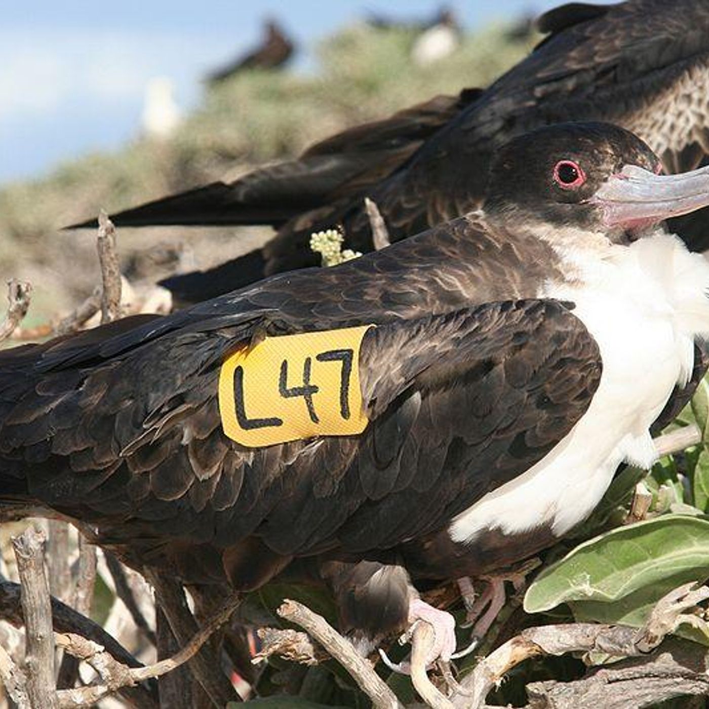 There and Back Again by WNYC Studios