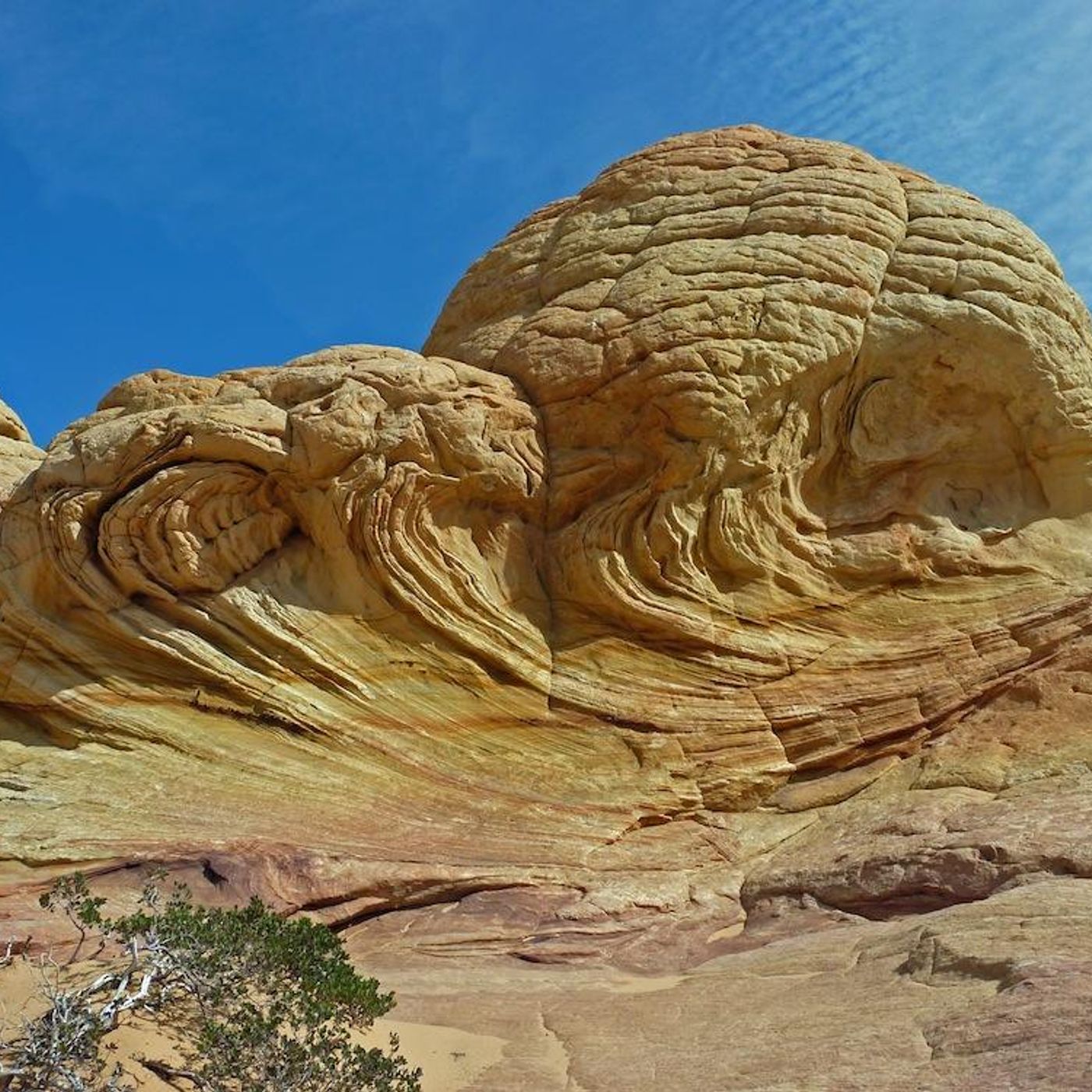 Solid as a Rock by WNYC Studios