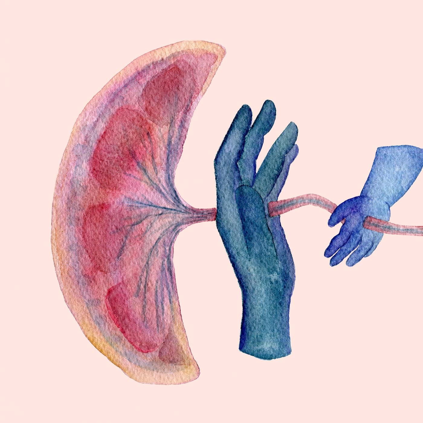 Everybody’s Got One by WNYC Studios