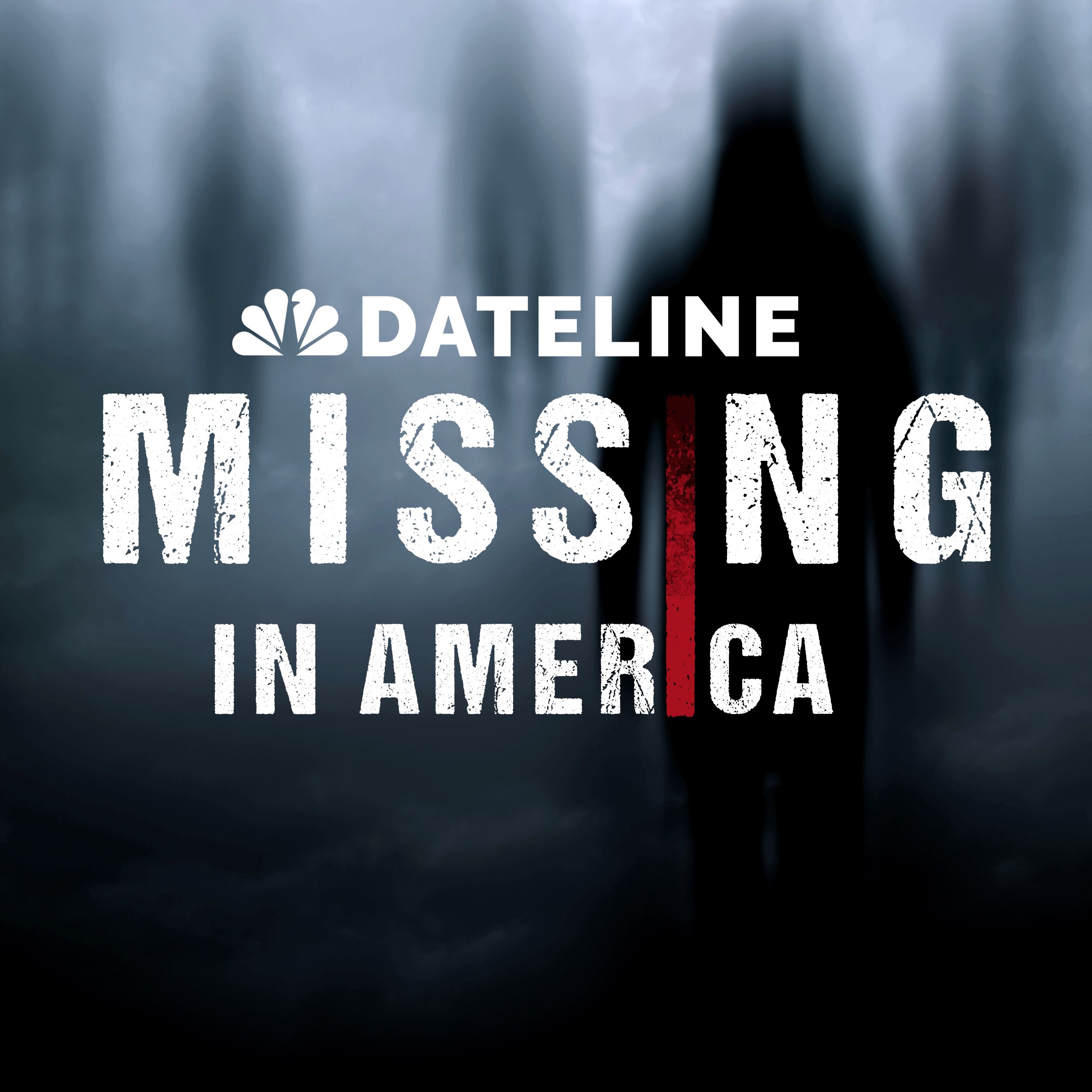 Introducing Dateline: Missing in America by Josh Mankiewicz, Andrea Canning