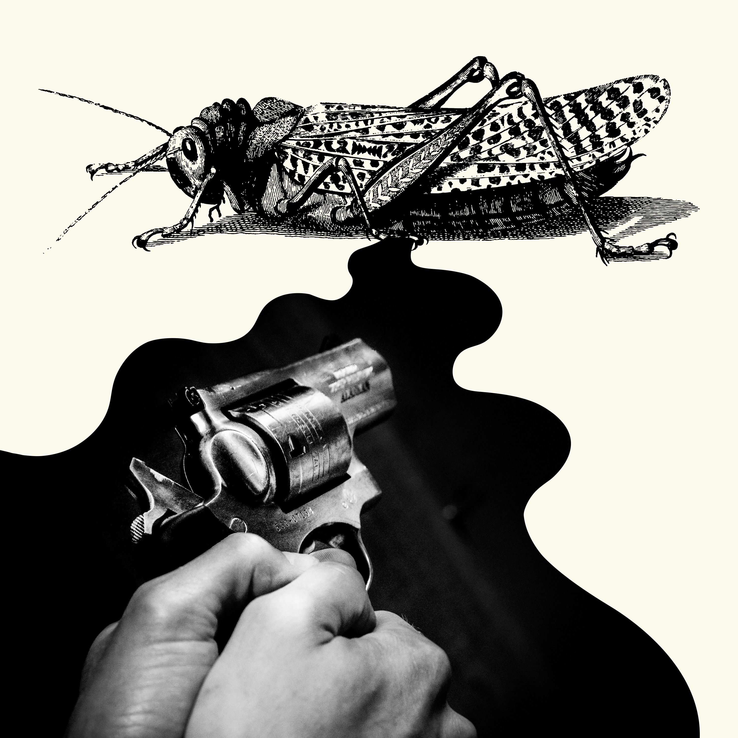 Killer Empathy