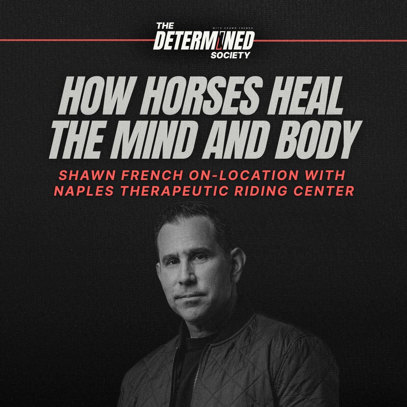 How Horses Heal the Mind and Body by Shawn French