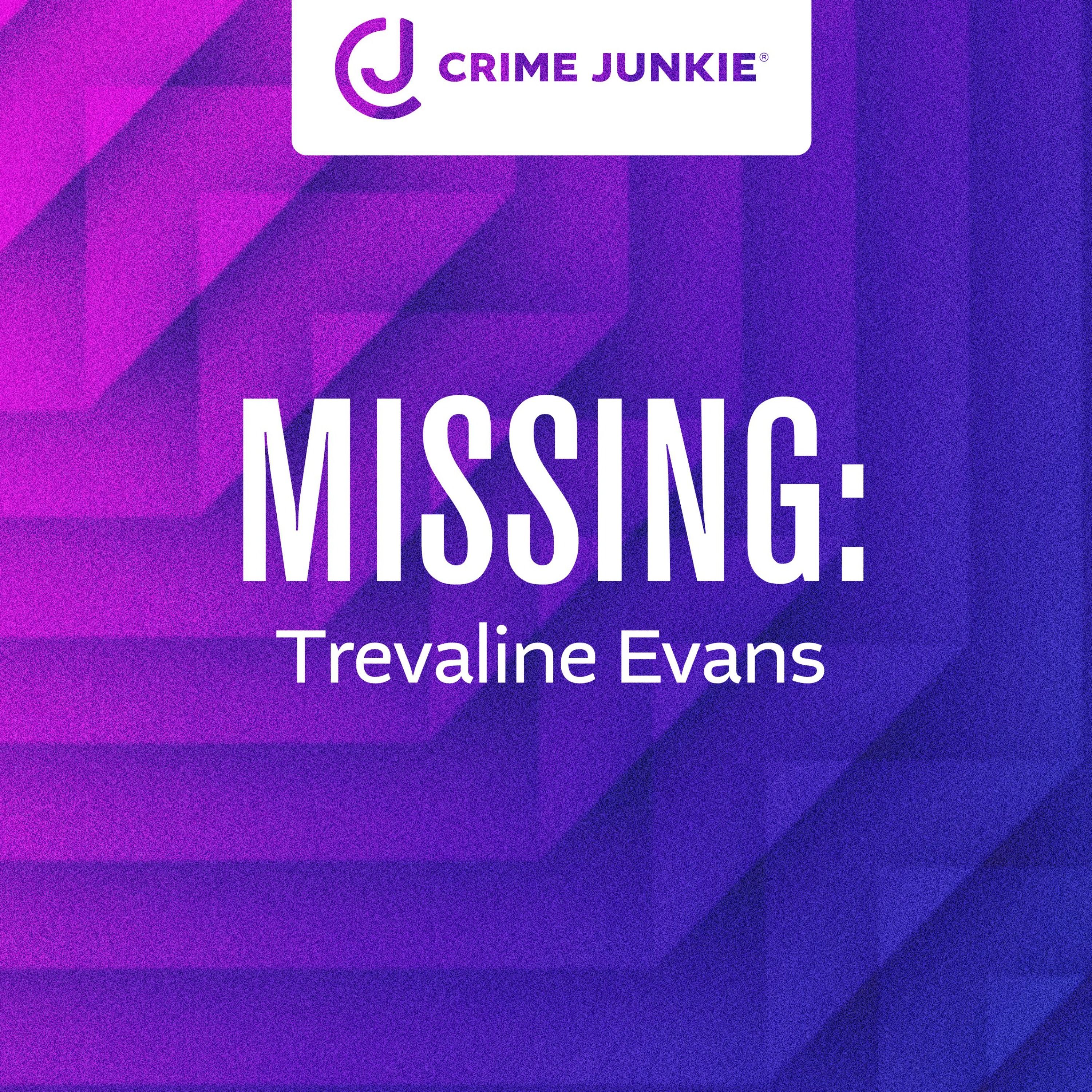 MISSING: Trevaline Evans by audiochuck