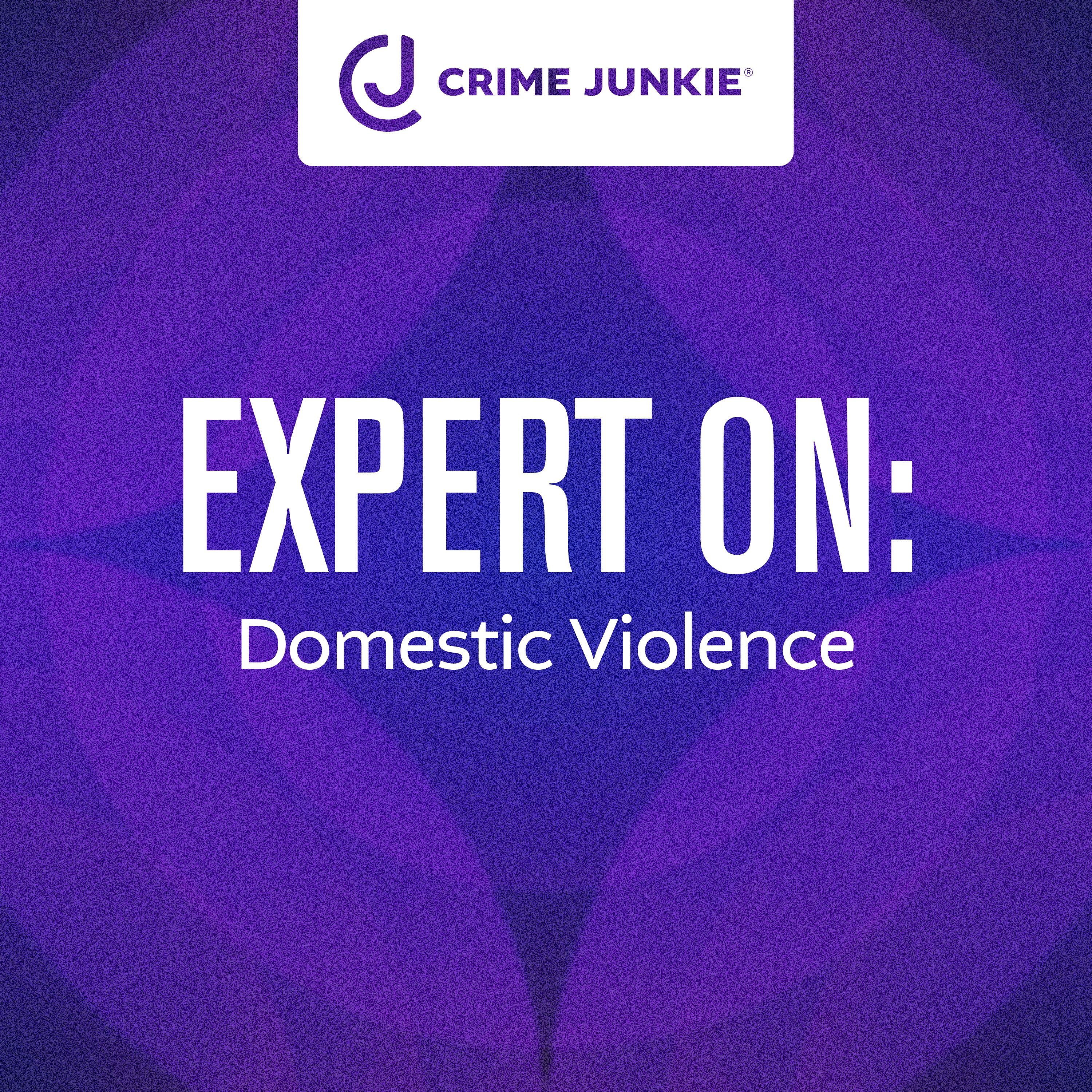 EXPERT ON: Domestic Violence by audiochuck
