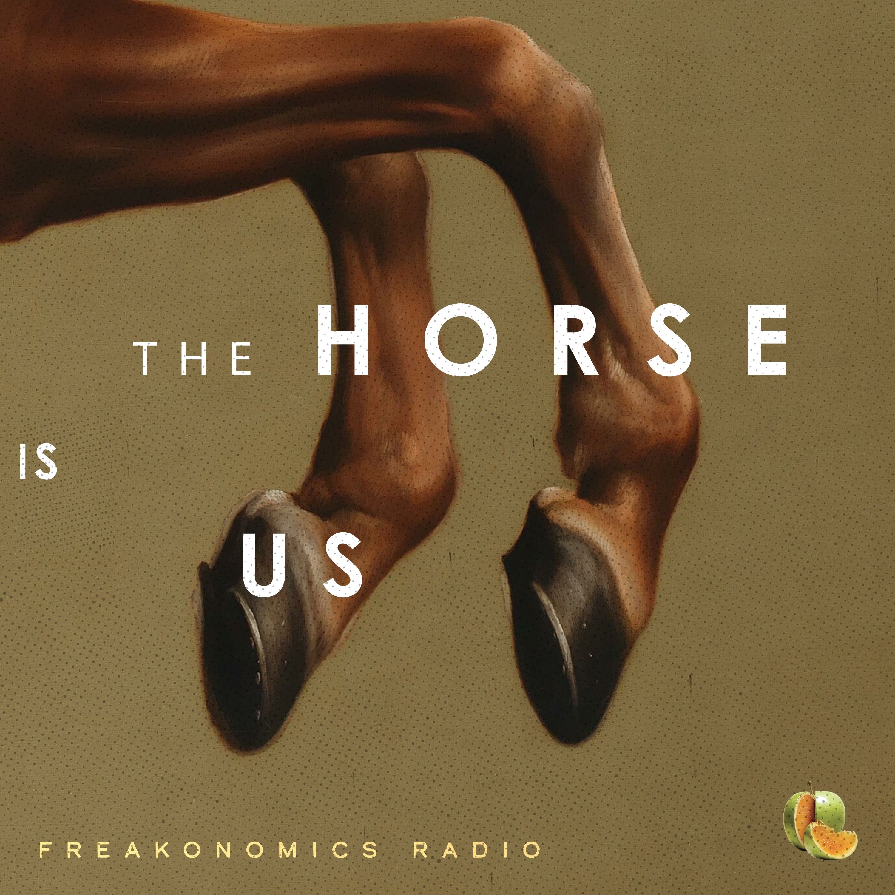 653. Does Horse Racing Have a Future? by Freakonomics Radio + Stitcher