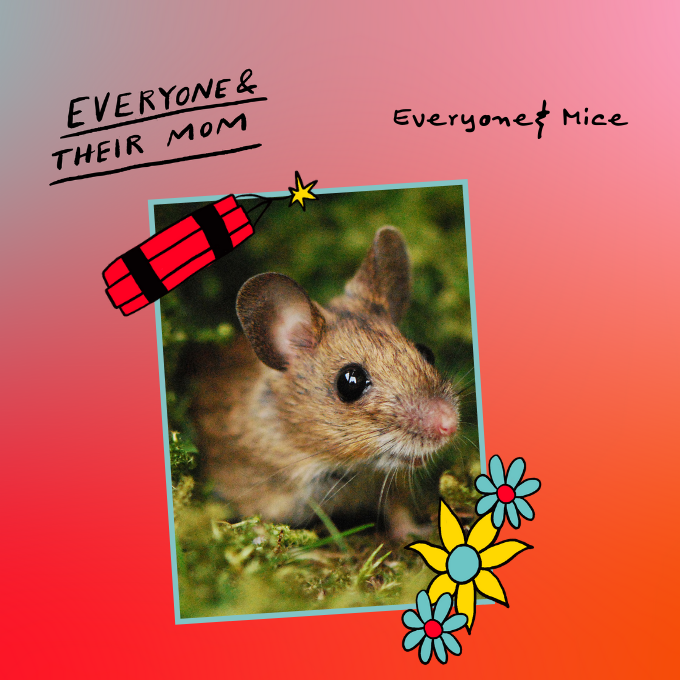 Everyone & Mice by NPR