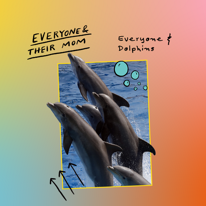 Everyone & Dolphins by NPR