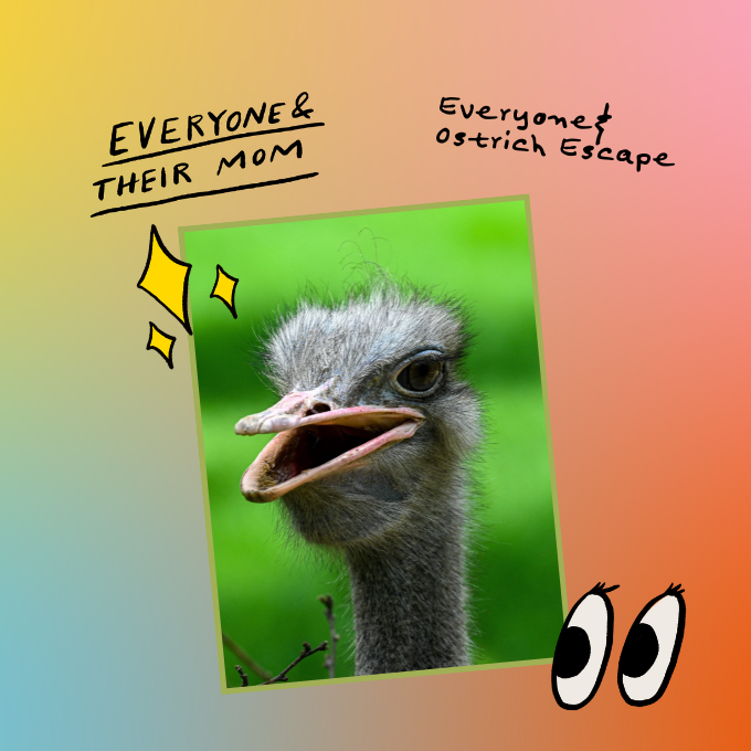Everyone & Ostrich Escape by NPR