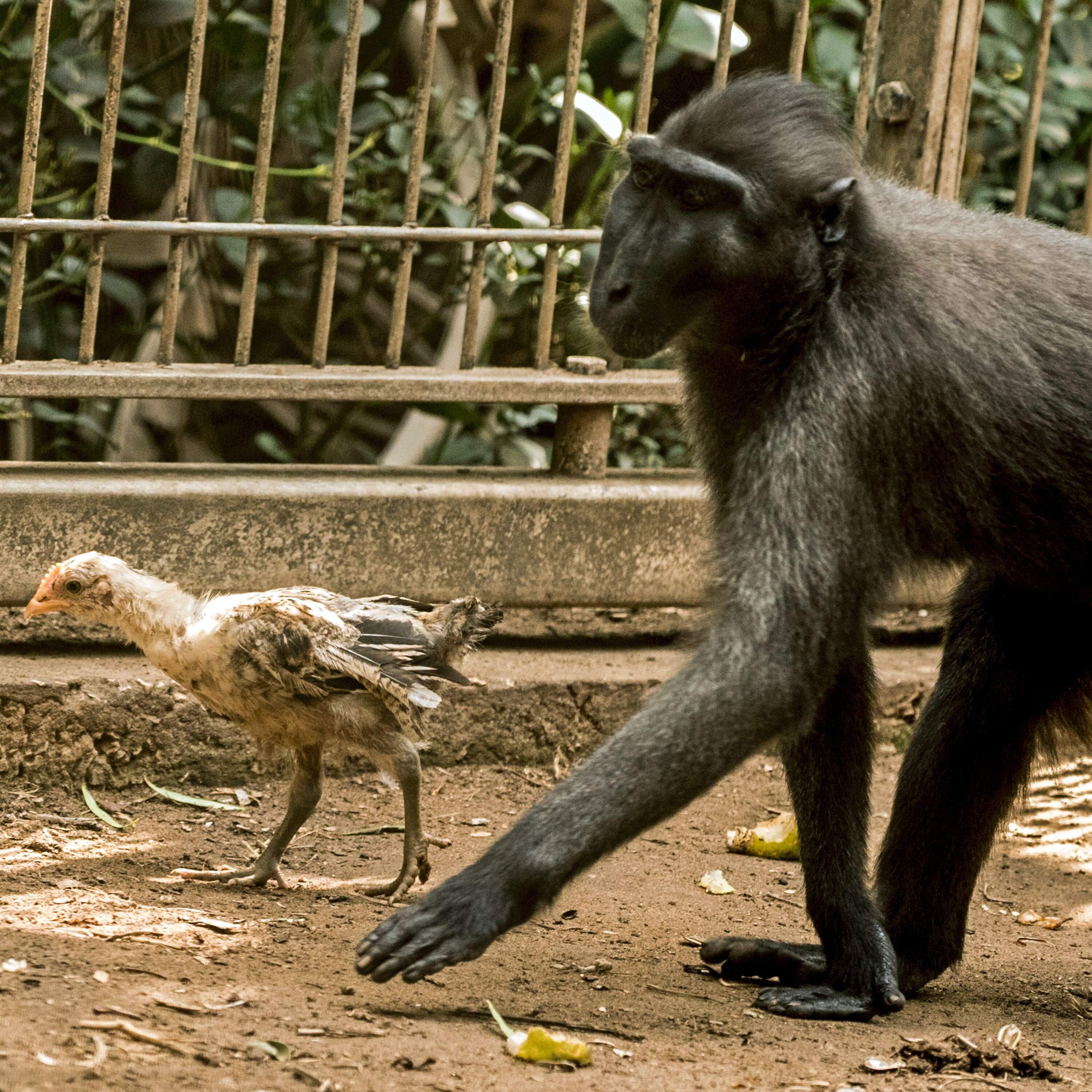 Two Indicators: unlikely economic relationships by NPR