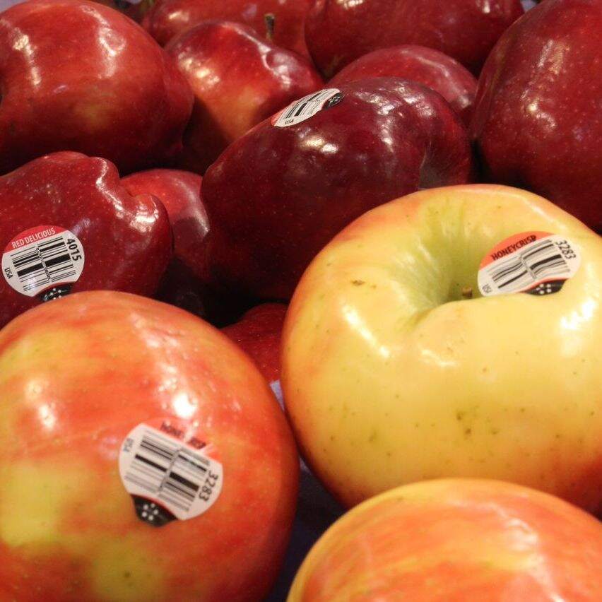 The miracle apple (Classic) by NPR