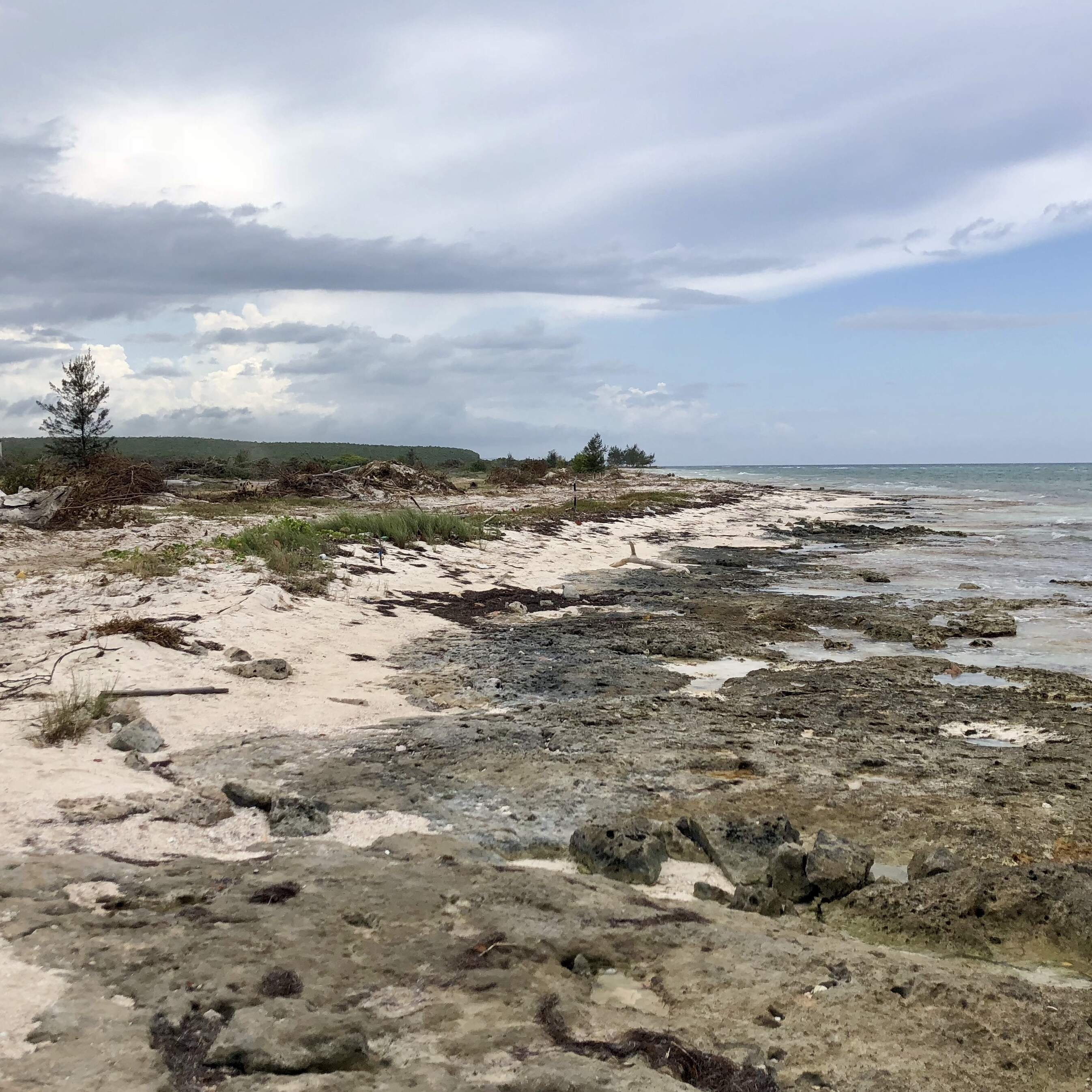 Peak Sand (classic) by NPR