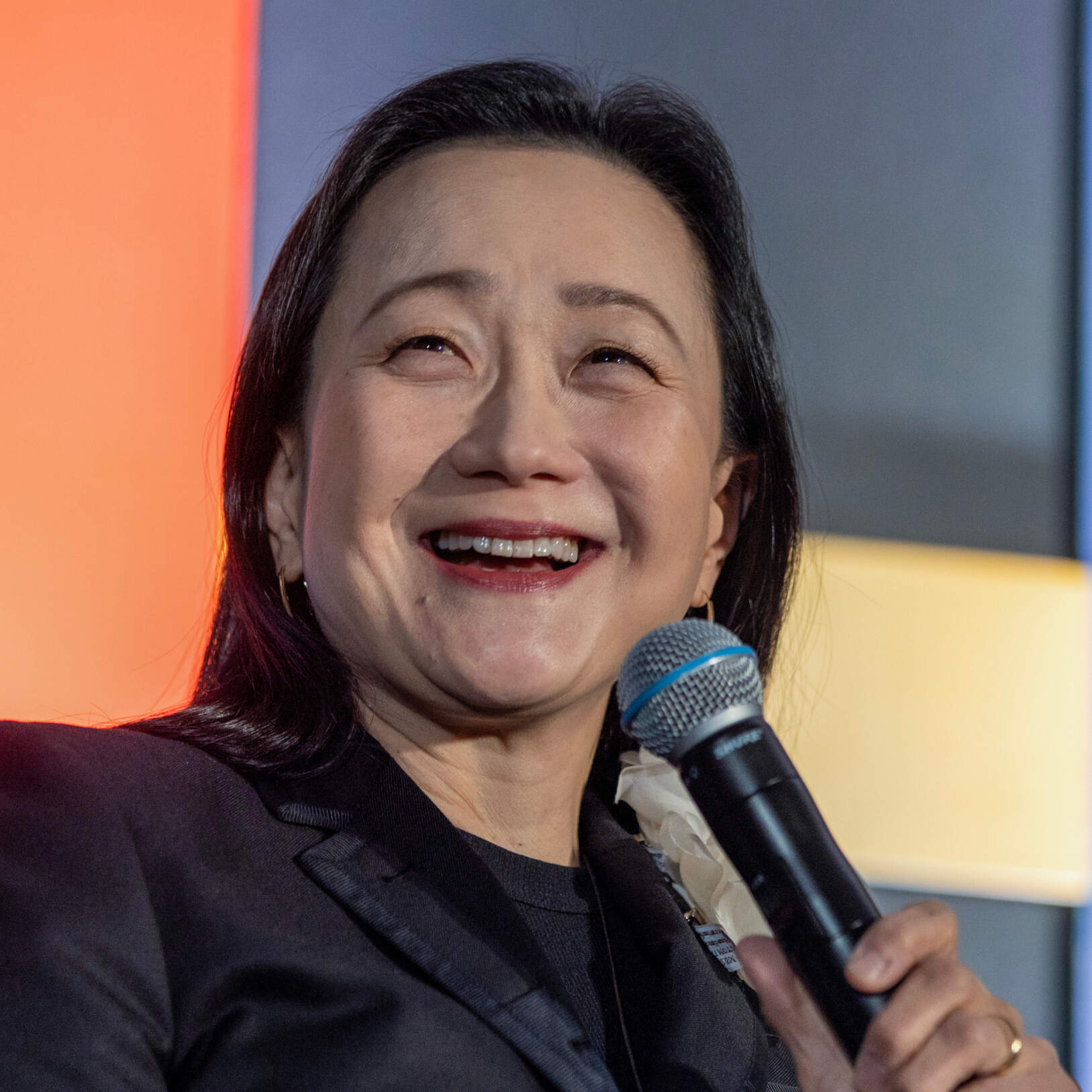 Economic fact in literary fiction by NPR