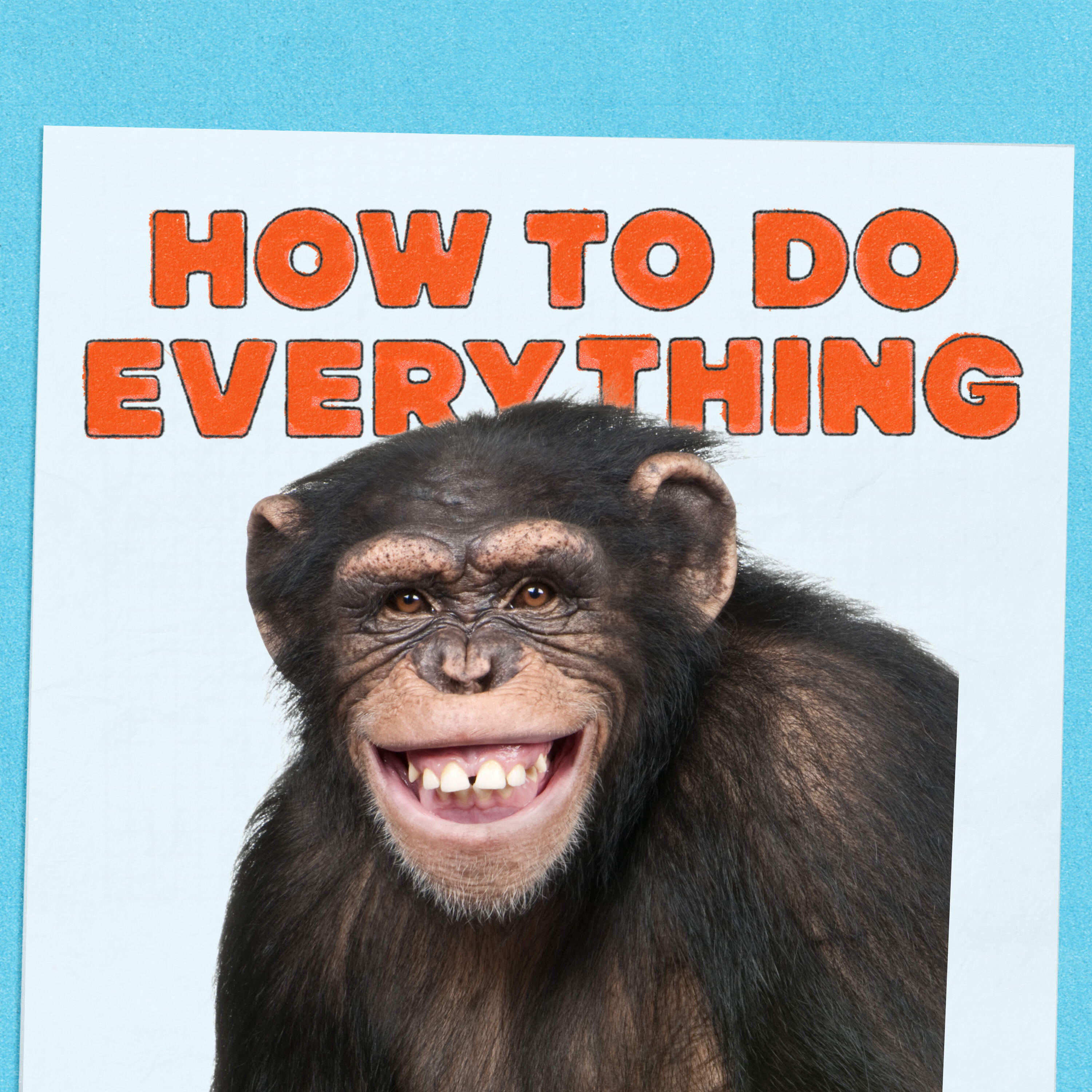 Tom Hanks, Hot Dogs and Chimp Butts by NPR