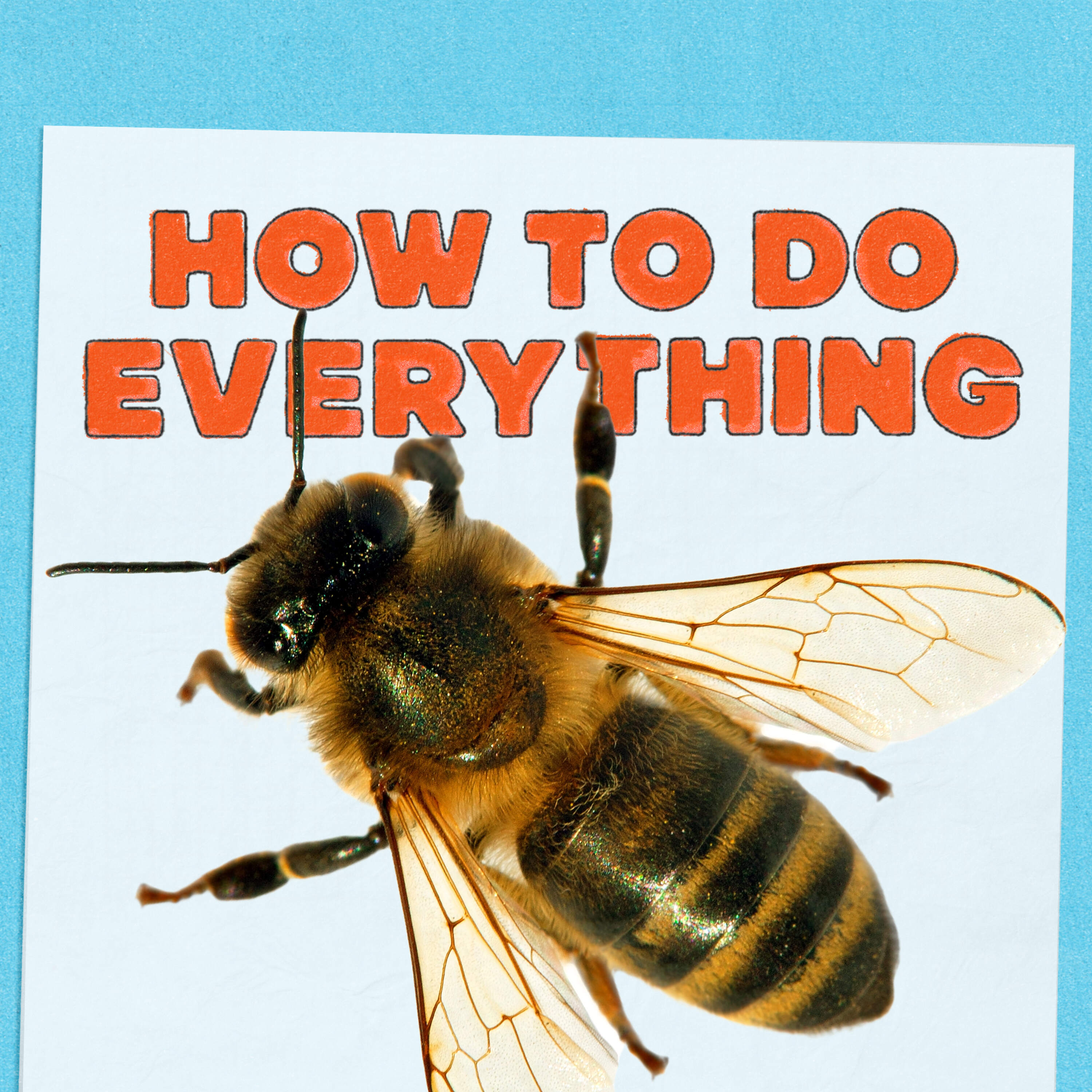 Nick Offerman, Trapper Keepers and Bee Stings by NPR