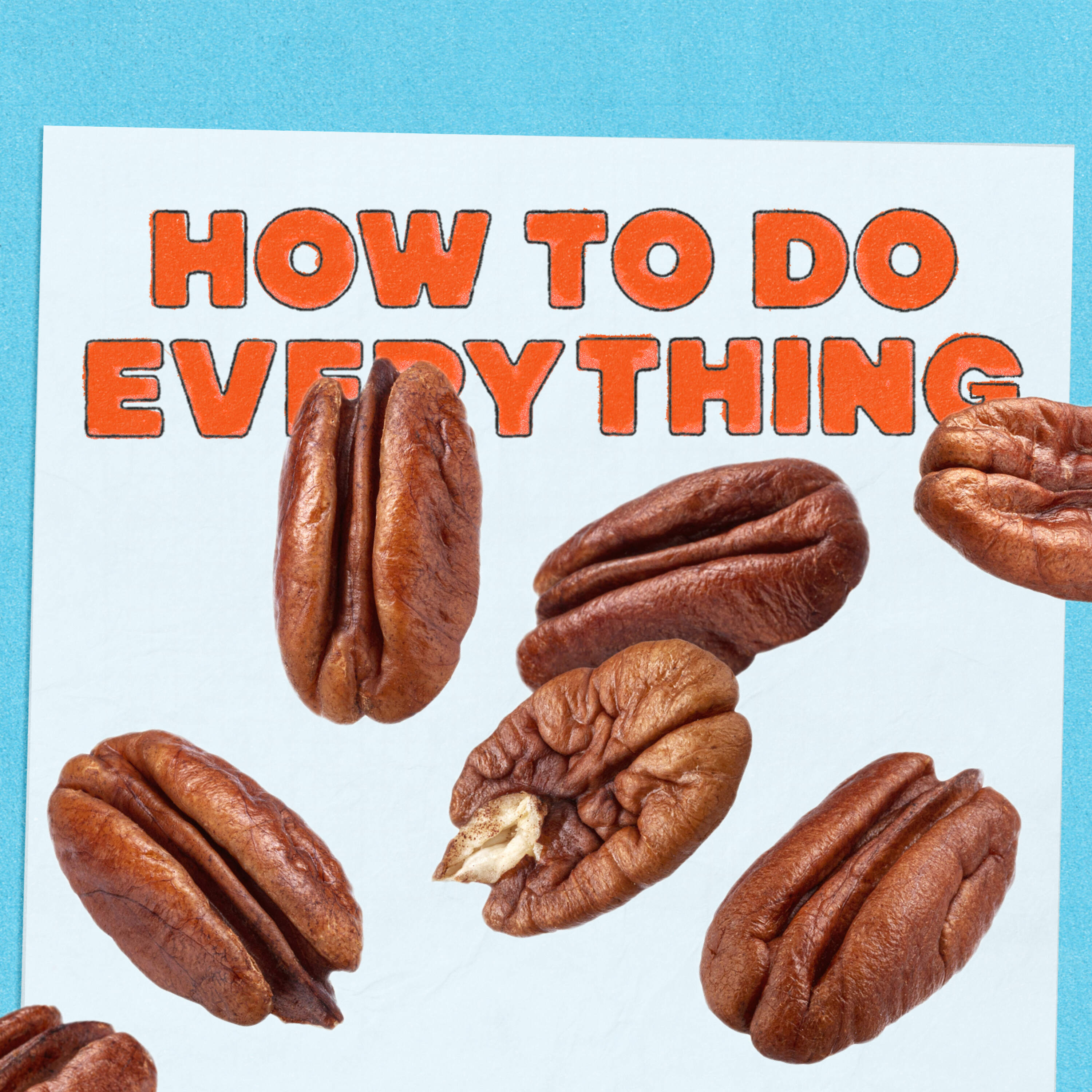 HTDE: Yes We Pecan, with Martha Stewart by NPR