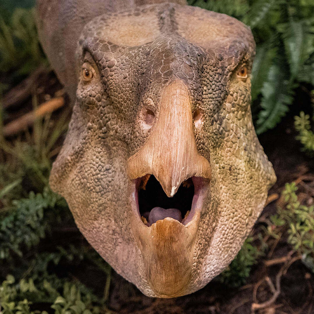 The Day The Dinosaurs Died by NPR