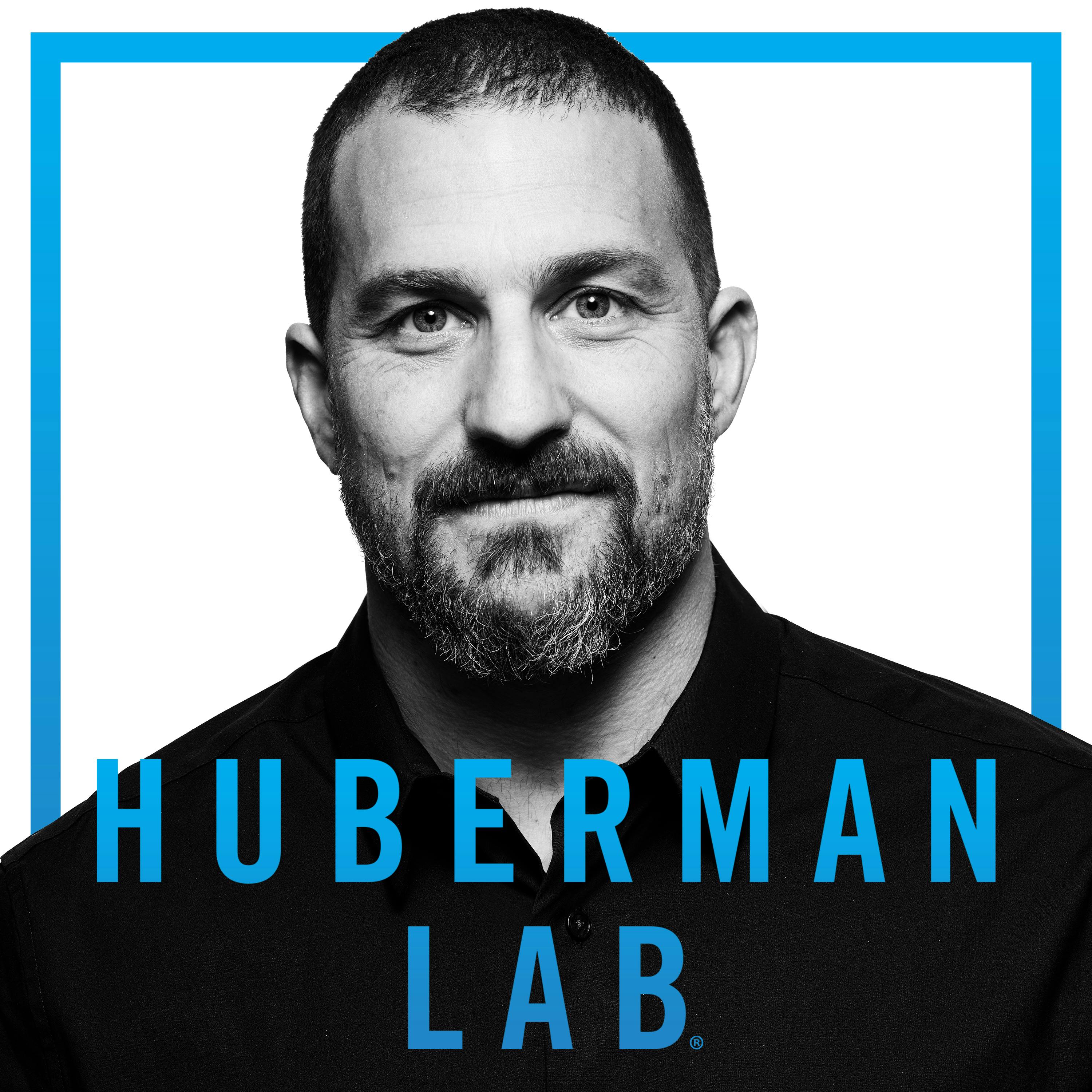 Dr. David Berson: Understanding Your Brain's Logic & Function by Scicomm Media
