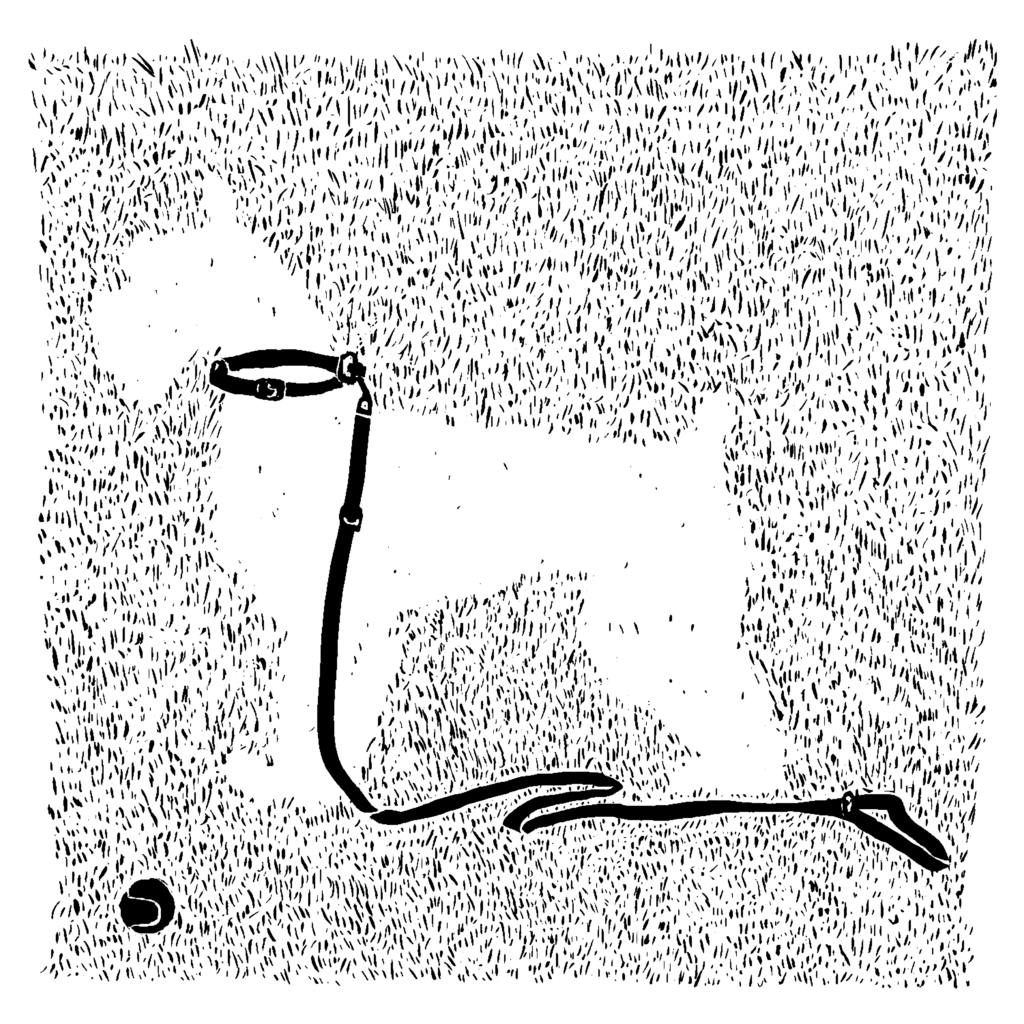 Off Leash by Vox Media Podcast Network