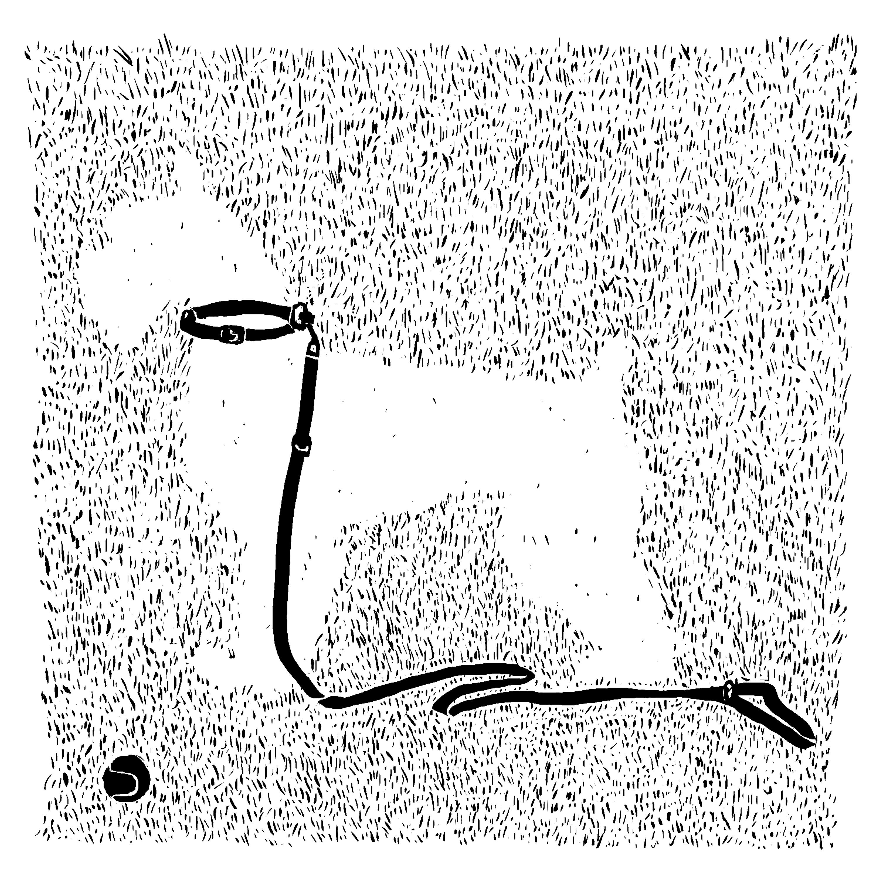 Off Leash by Vox Media Podcast Network