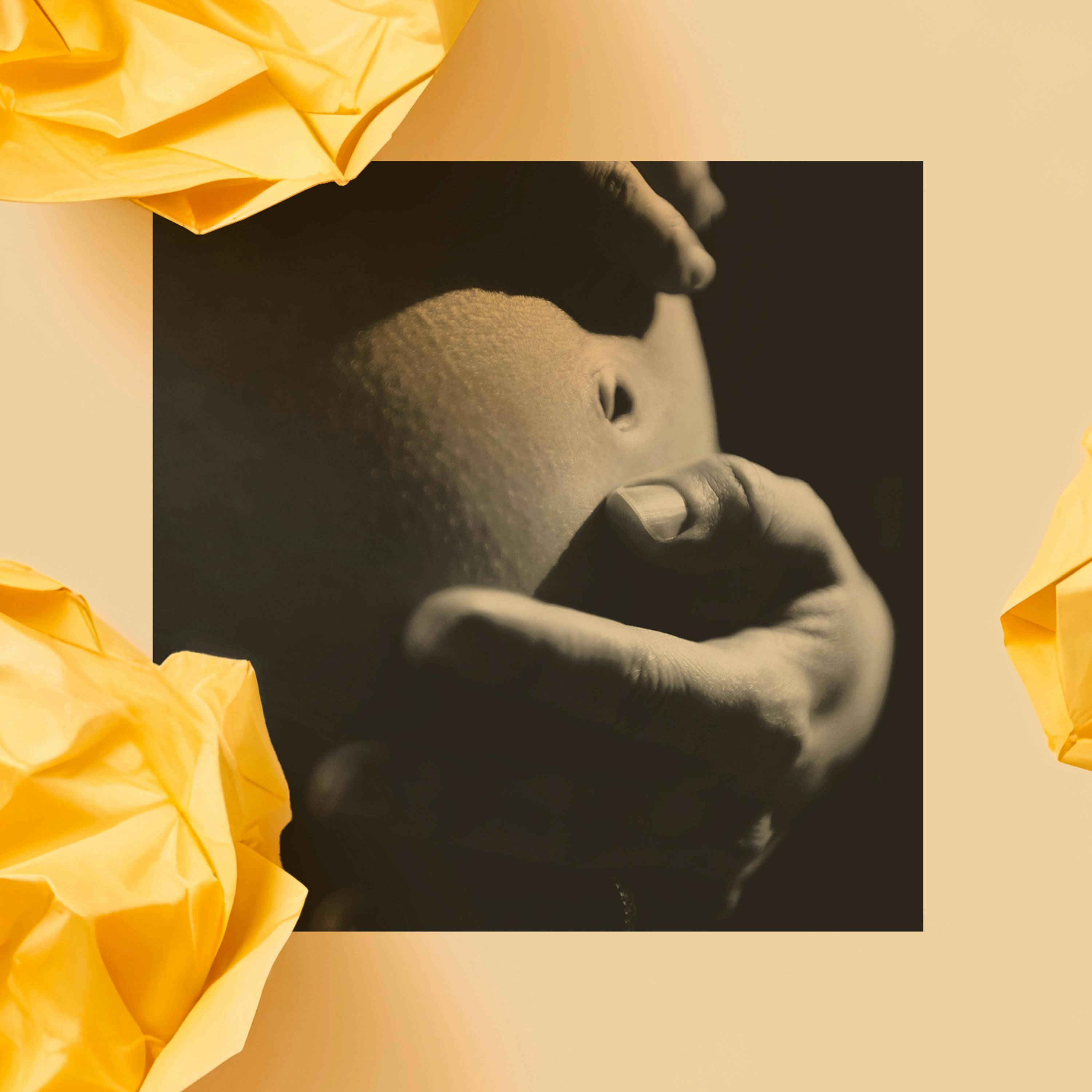 What Do We Really Know About the Maternal-Mortality Crisis? by The Atlantic