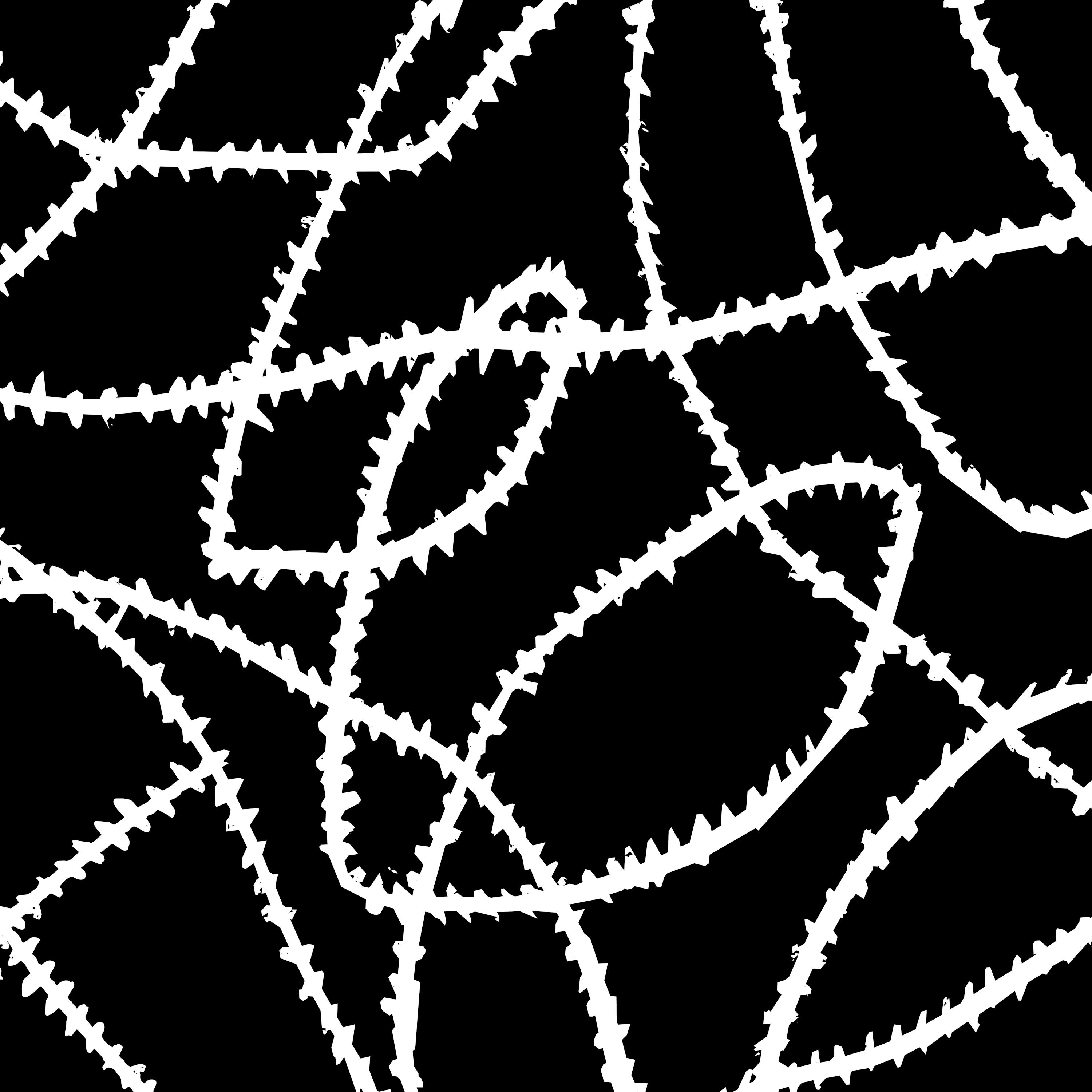 A Land Without Law by Vox Media Podcast Network