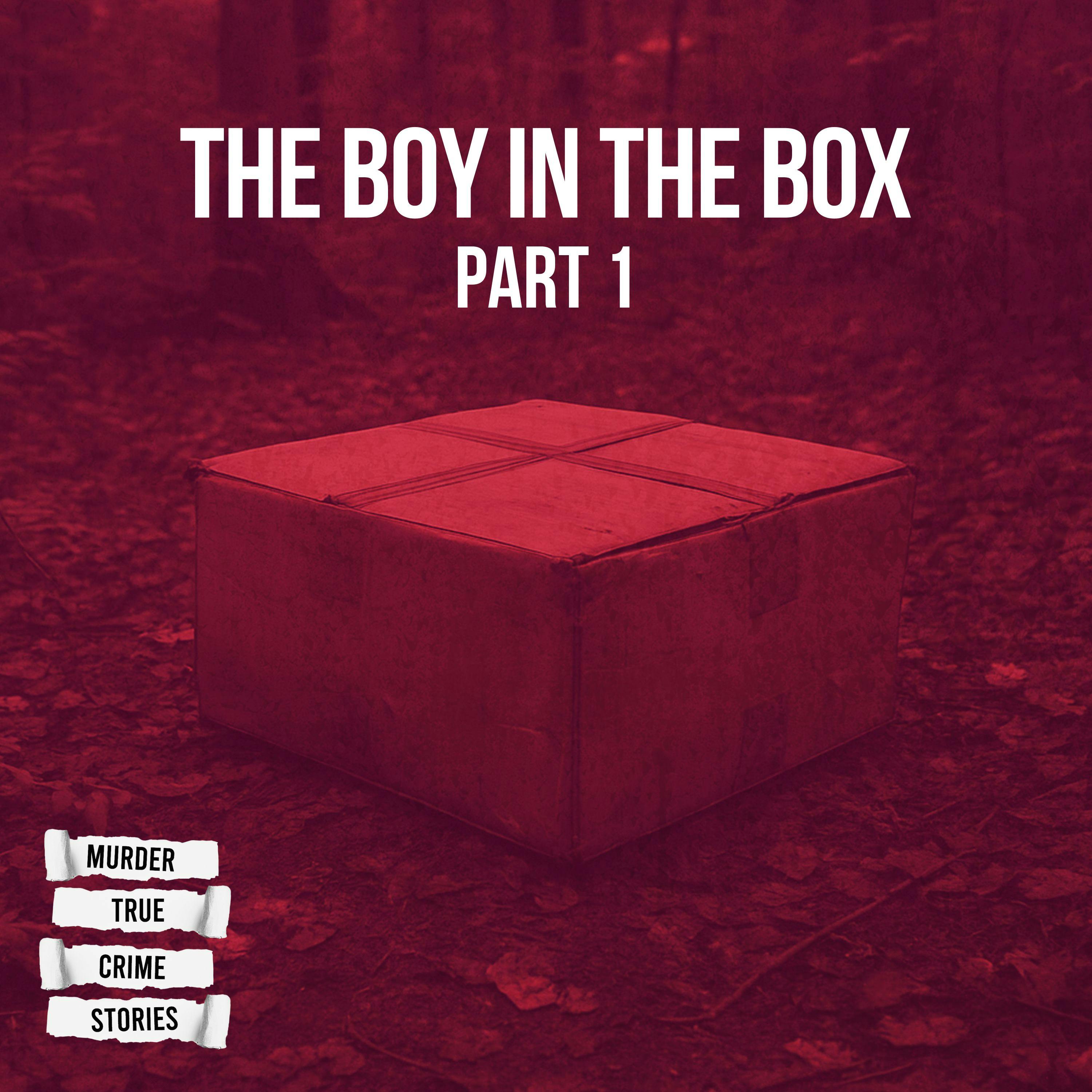 UNSOLVED: The Boy in the Box 1
