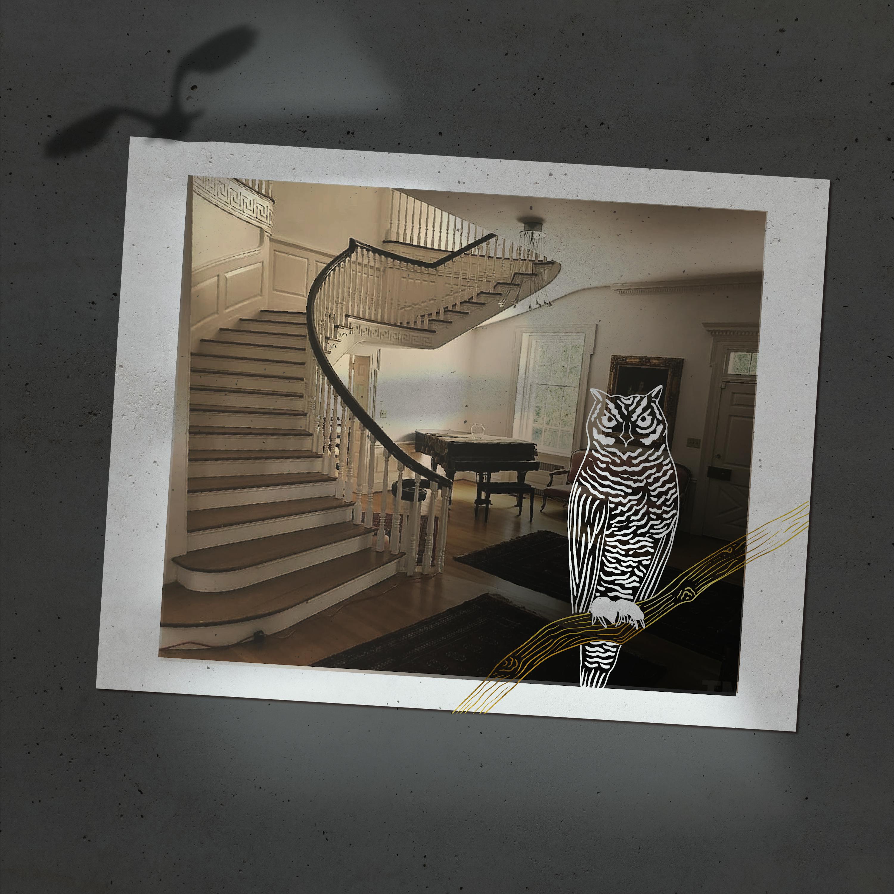 Animal Instincts by Vox Media Podcast Network