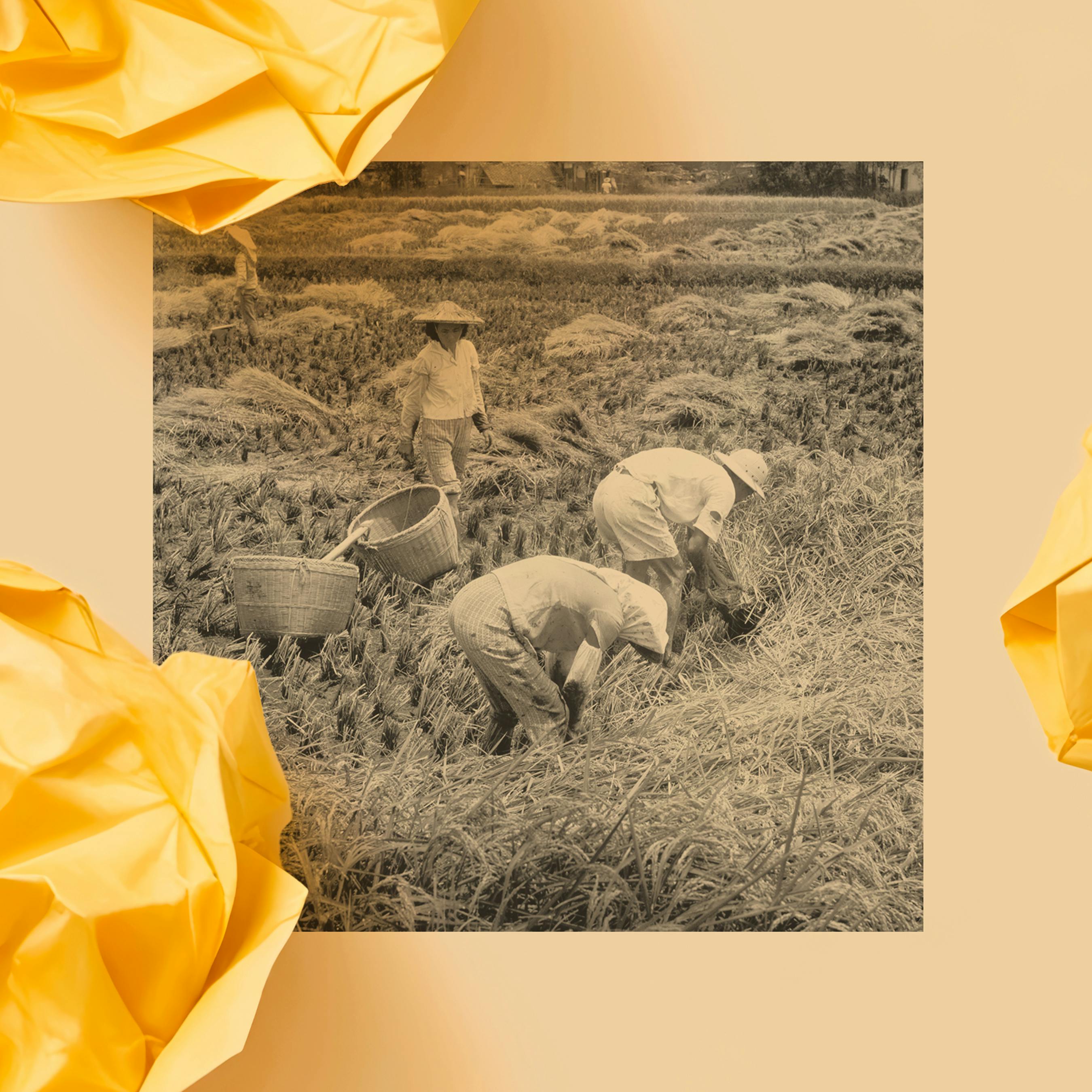 What Really Fueled the ‘East Asian Miracle’? by The Atlantic