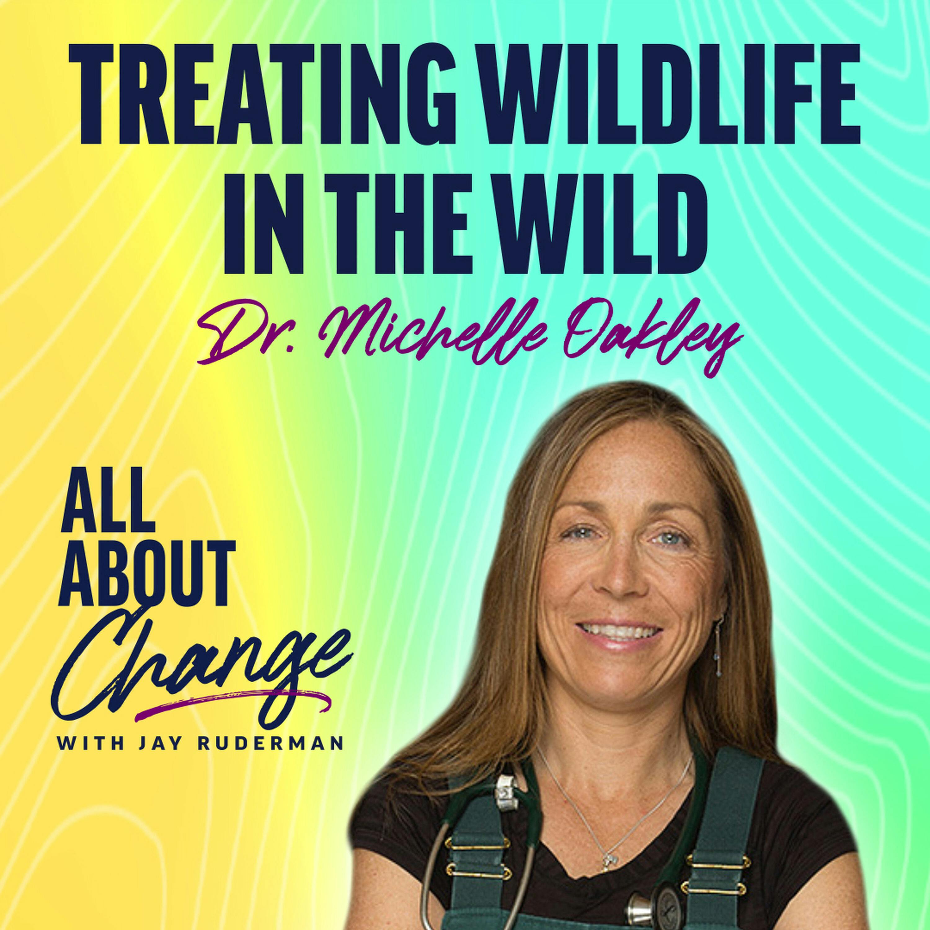 Dr. Michelle Oakley - Treating Wildlife in the Wild by Jay Ruderman