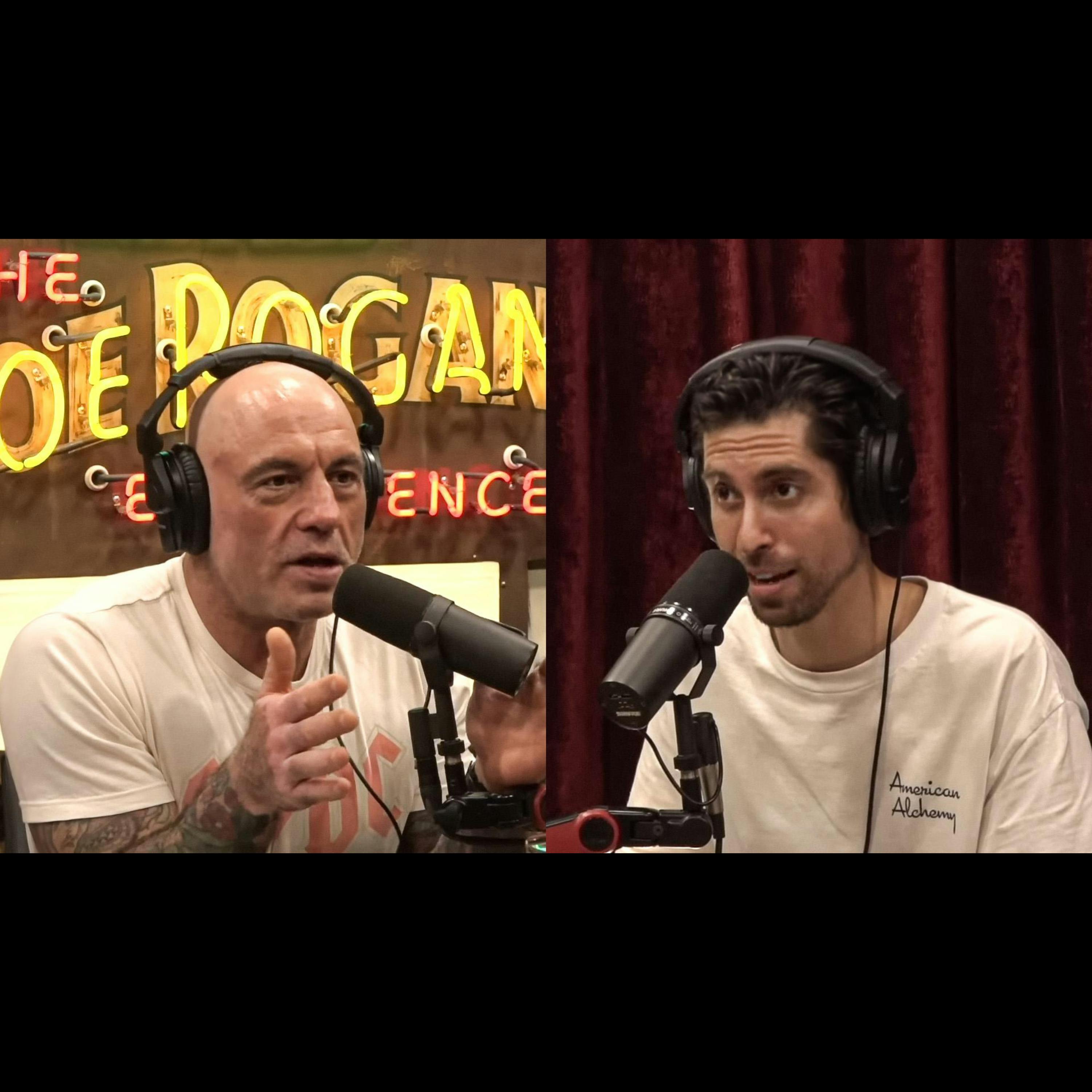 What I Learned From Joe Rogan (ft. Young Jamie and Viktor Hovland) by Jesse Michels