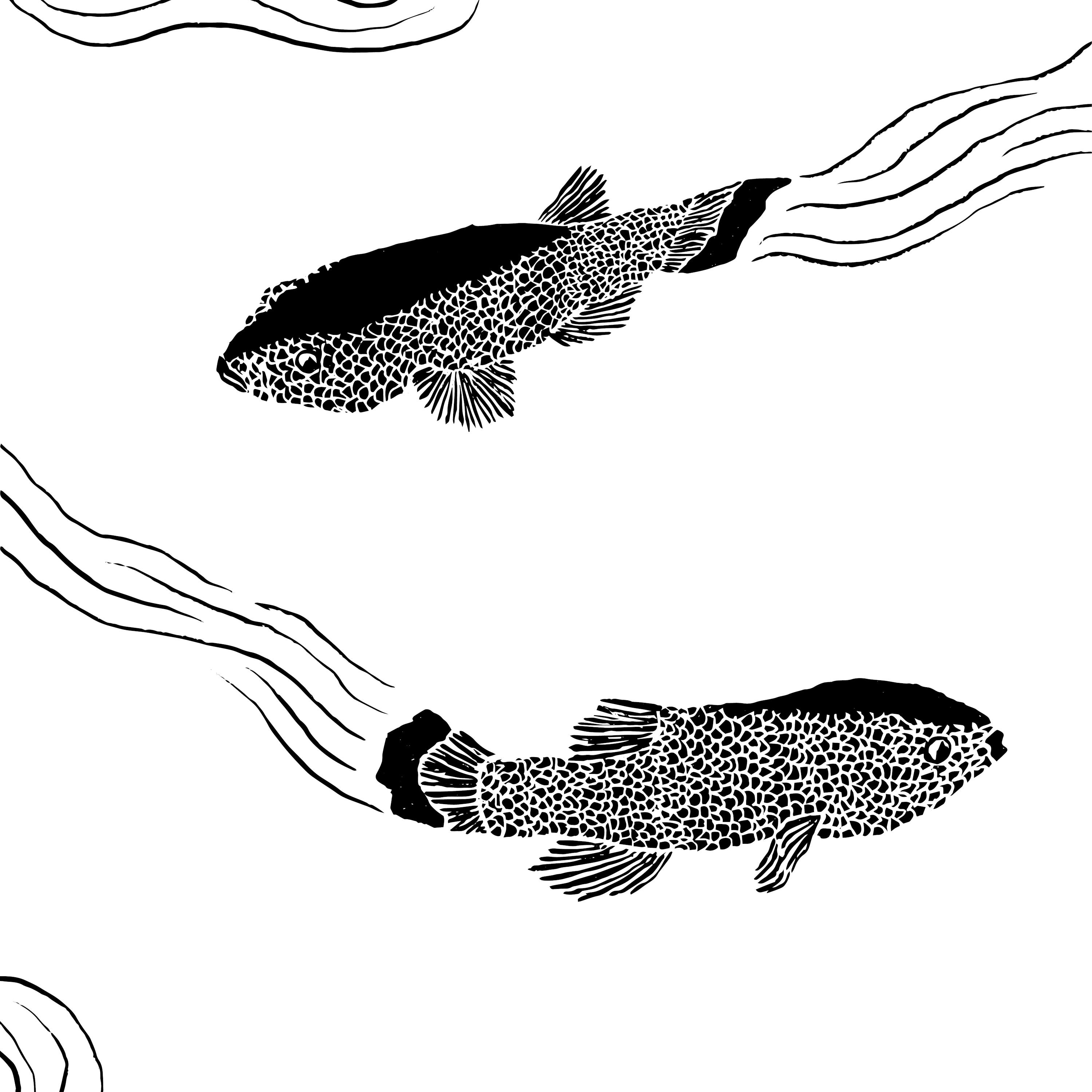 The Devil’s Hole Pupfish by Vox Media Podcast Network