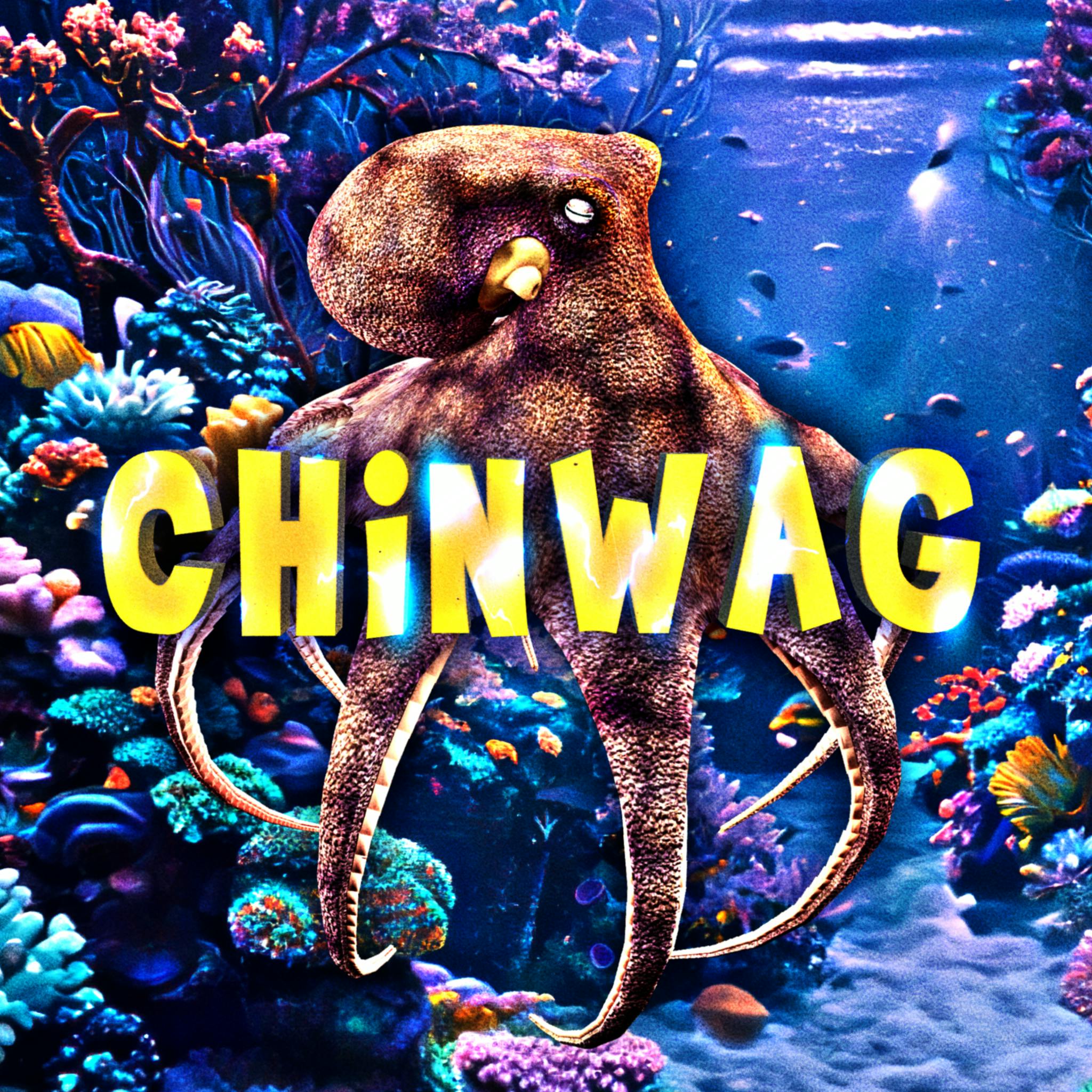 Consciousness & The Octopus by Treefort Media & Touchy Feely Films