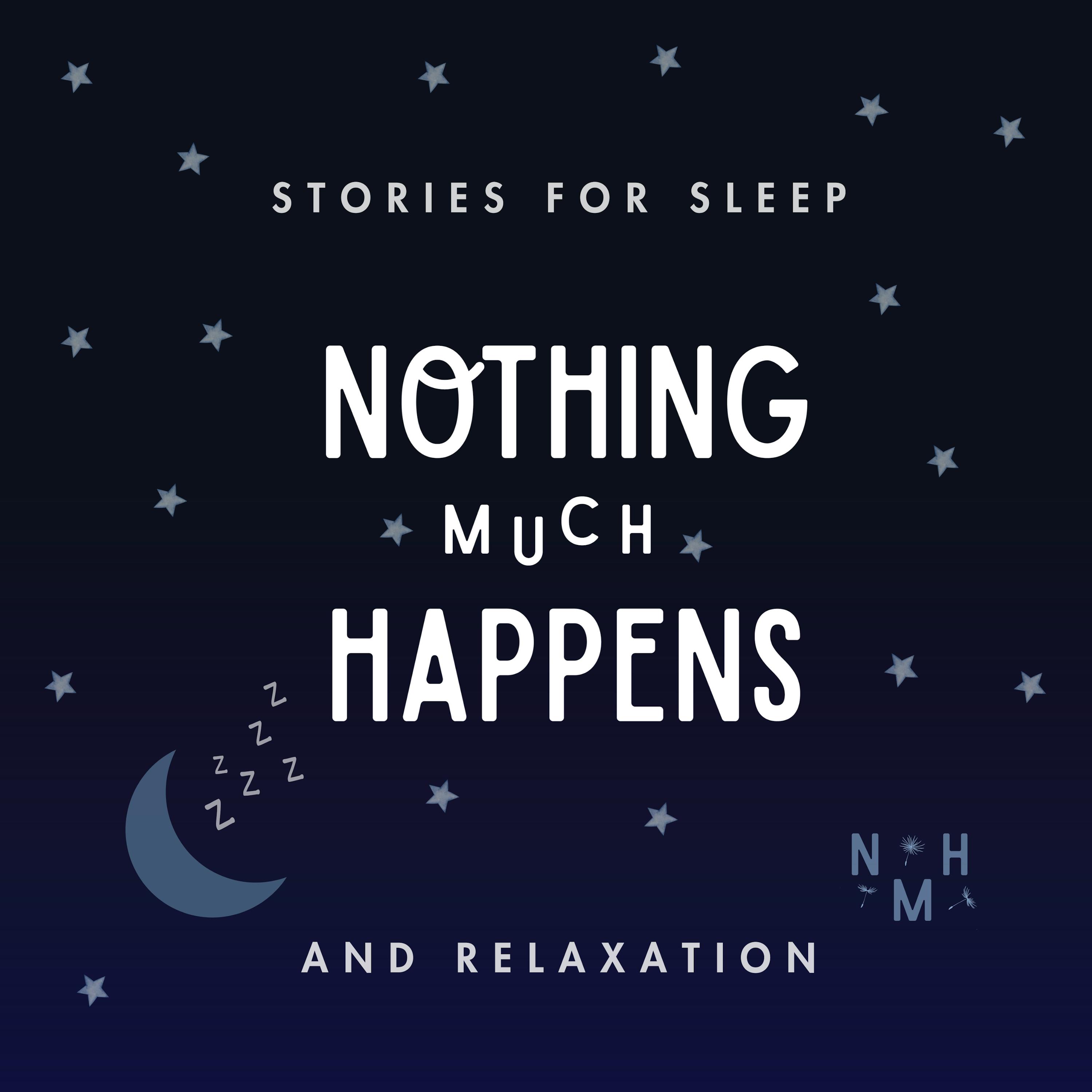 Nothing much happens: bedtime stories to help you sleep by Wellness Loud
