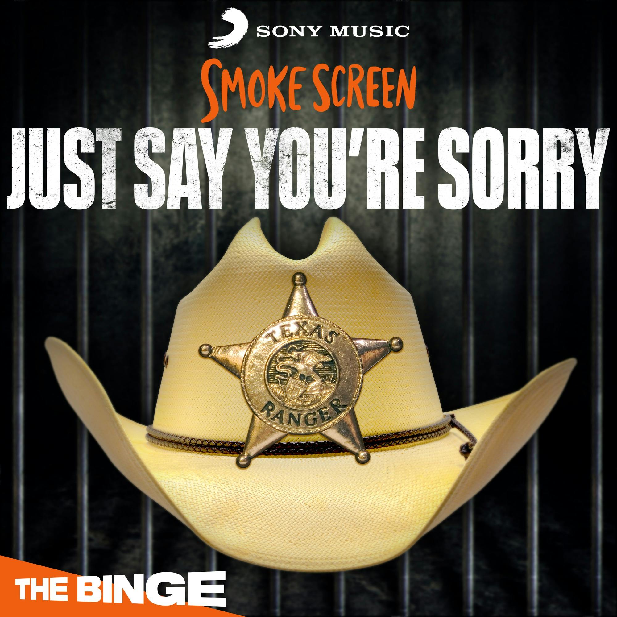 Introducing: Just Say You're Sorry by Sony Music Entertainment