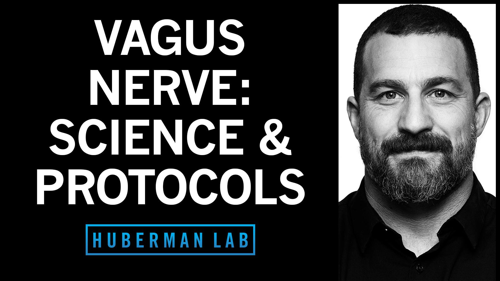Control Your Vagus Nerve to Improve Mood, Alertness & Neuroplasticity by Scicomm Media