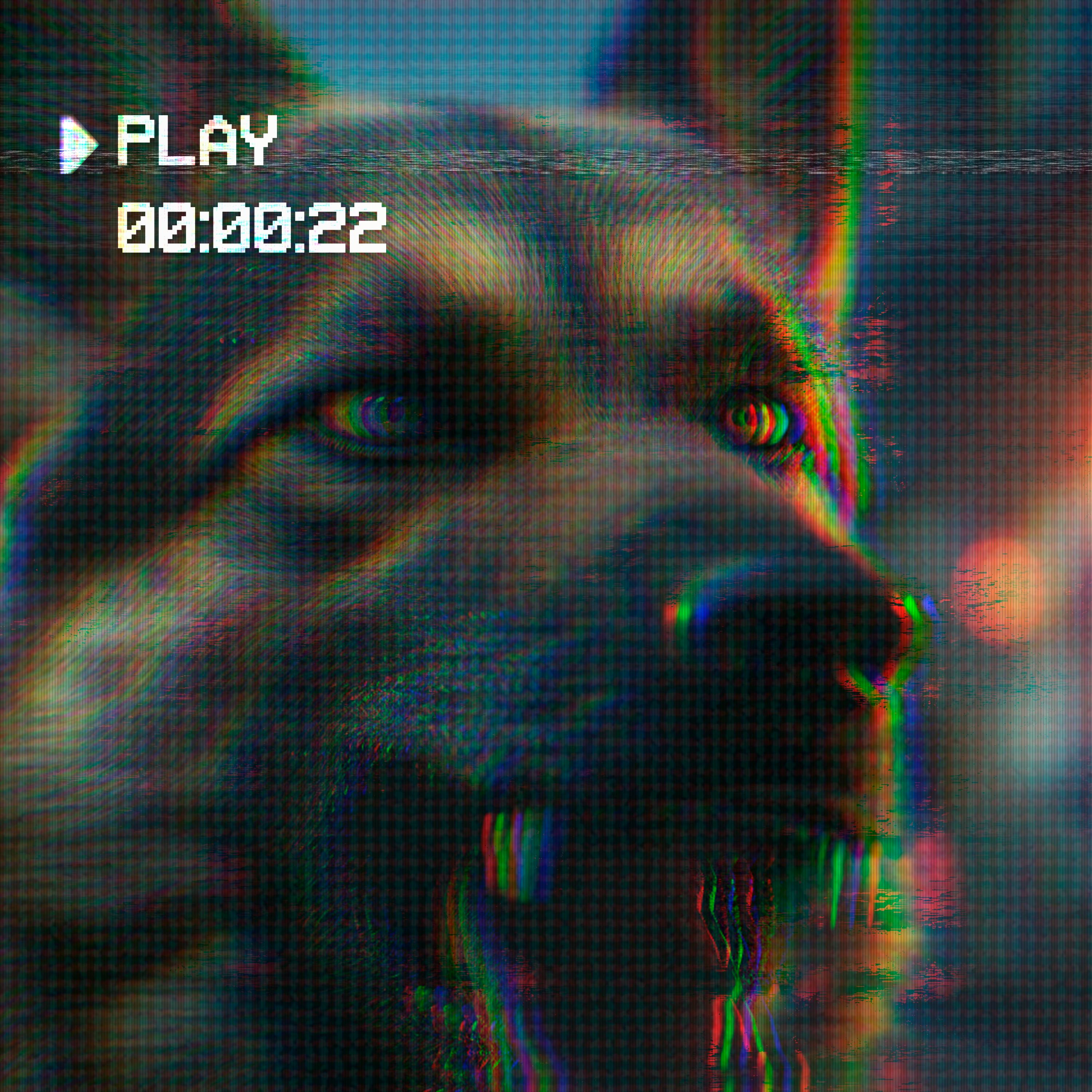 Episode 22 by Tenderfoot TV & Audacy