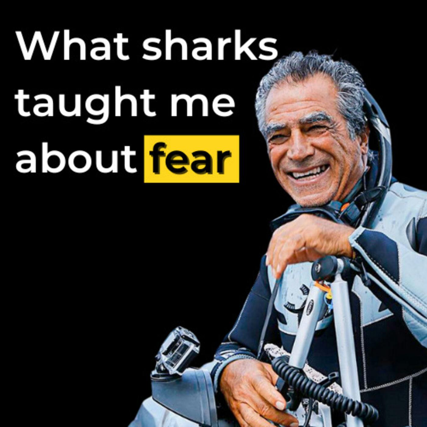 From Overcoming PTSD to Top Photographer in the World! - Amos Nachoum | E9 by Ilana Golan