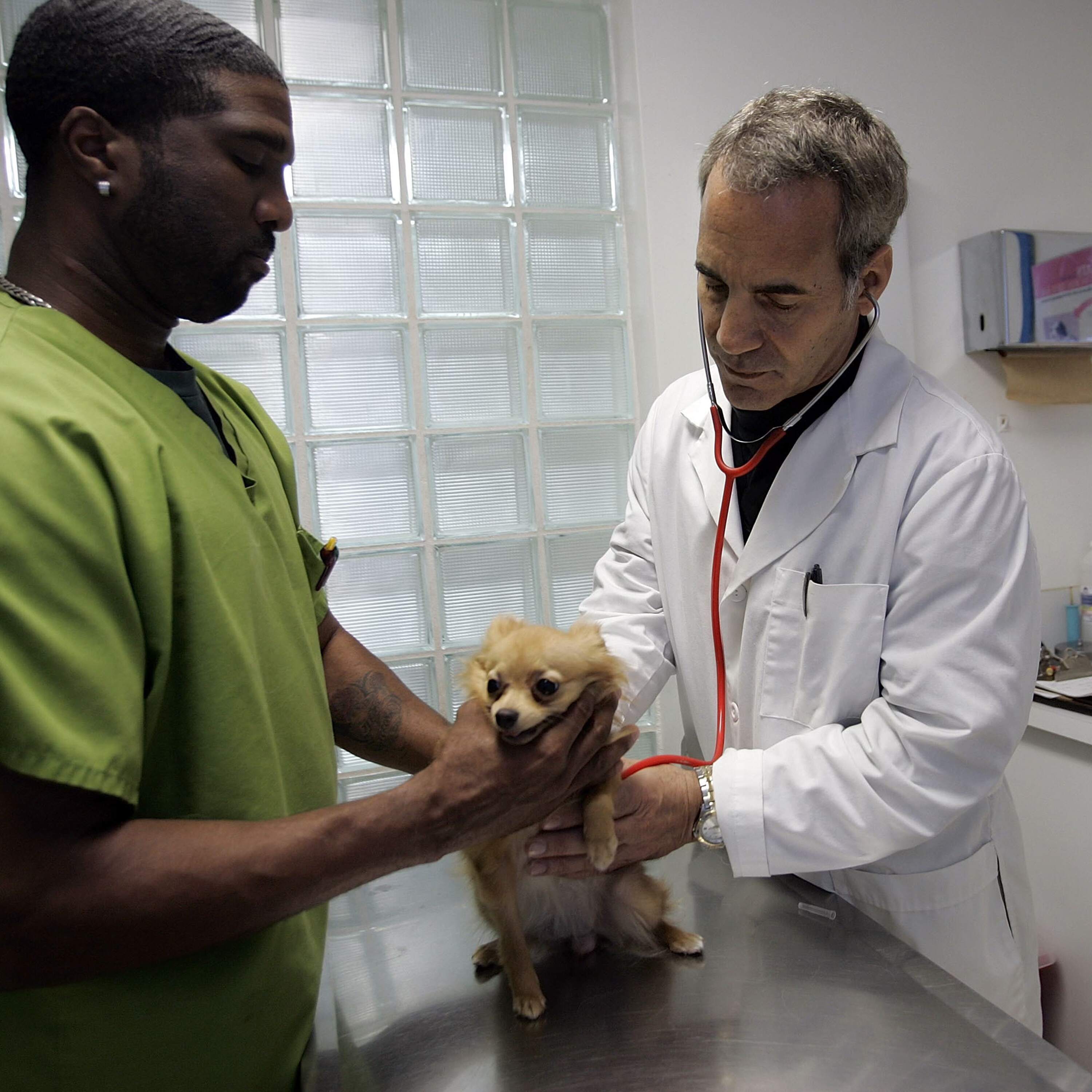 Everything’s more expensive!! Pet care!! Concert tickets!! (Two Indicators) by NPR