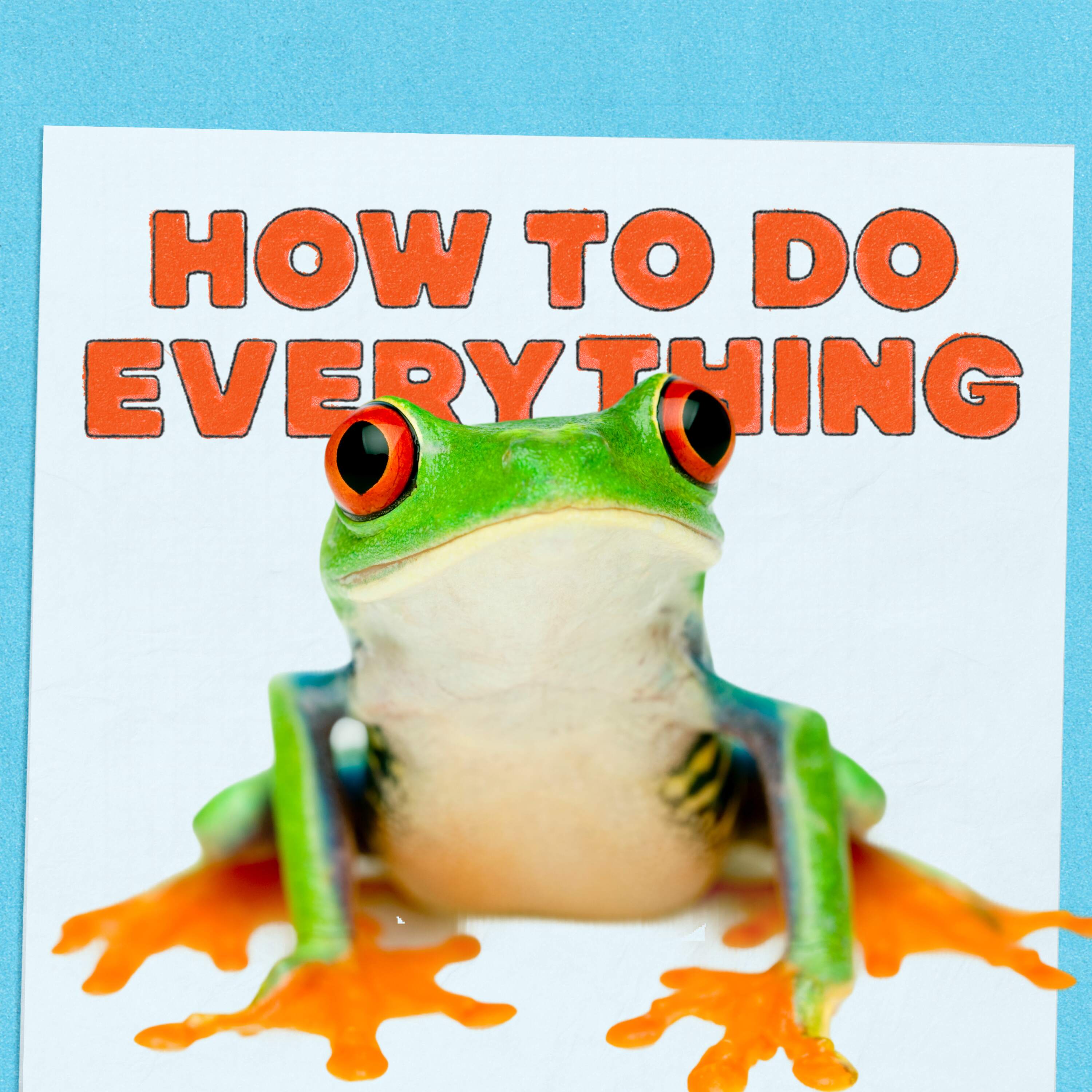 Gum, Frogs and Fred Armisen by NPR