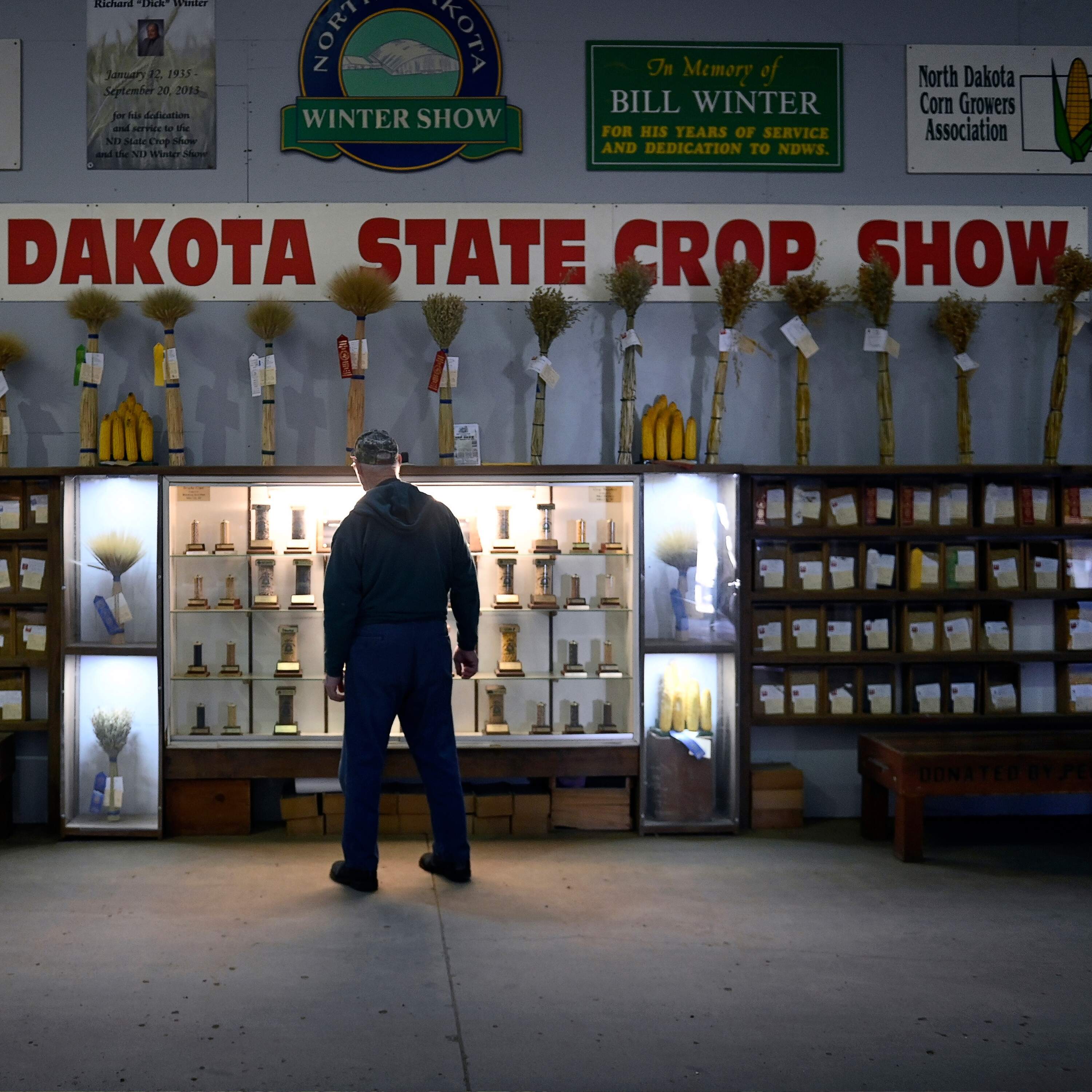 American Voices on Trump by NPR