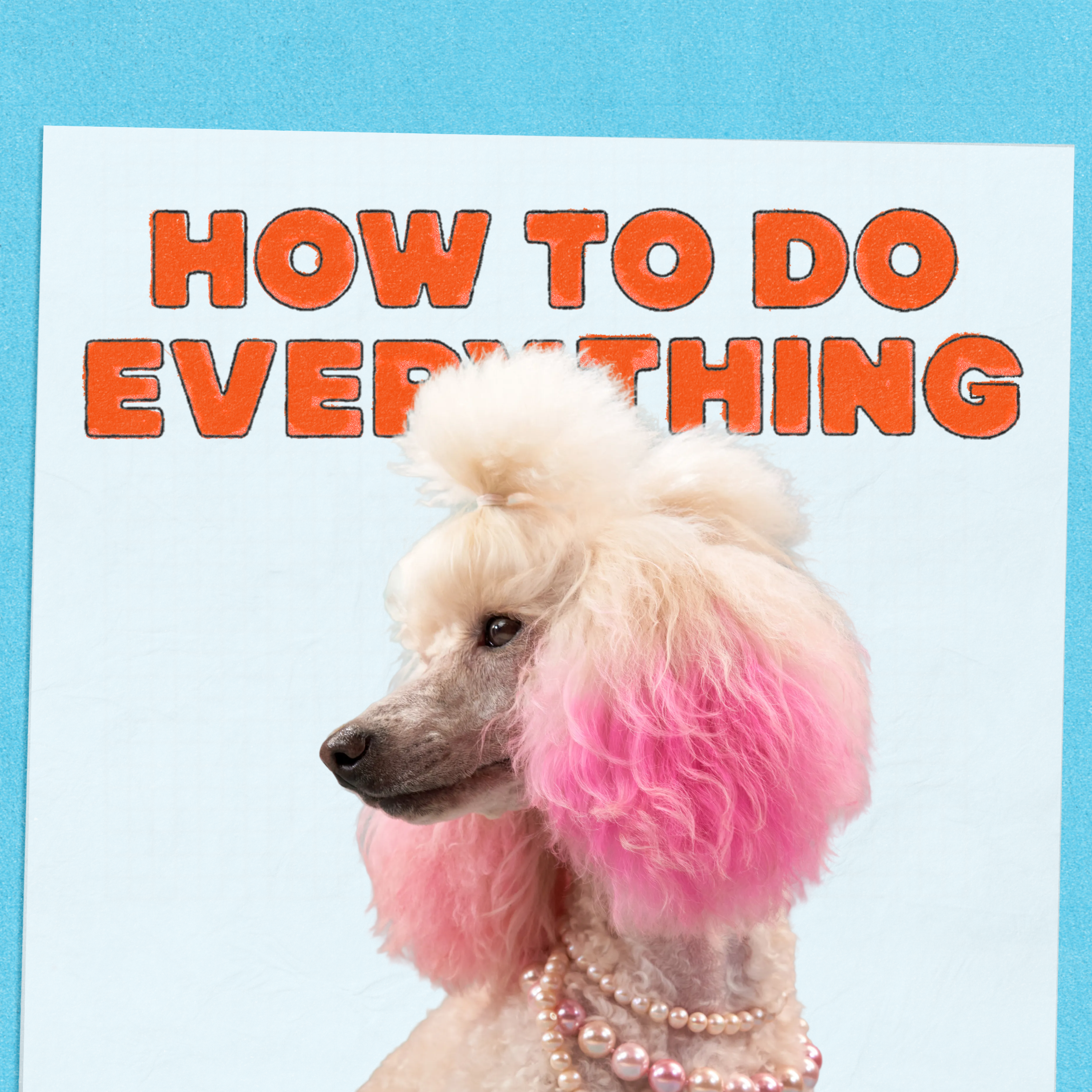 Broadway Musicals And Best In Show by NPR