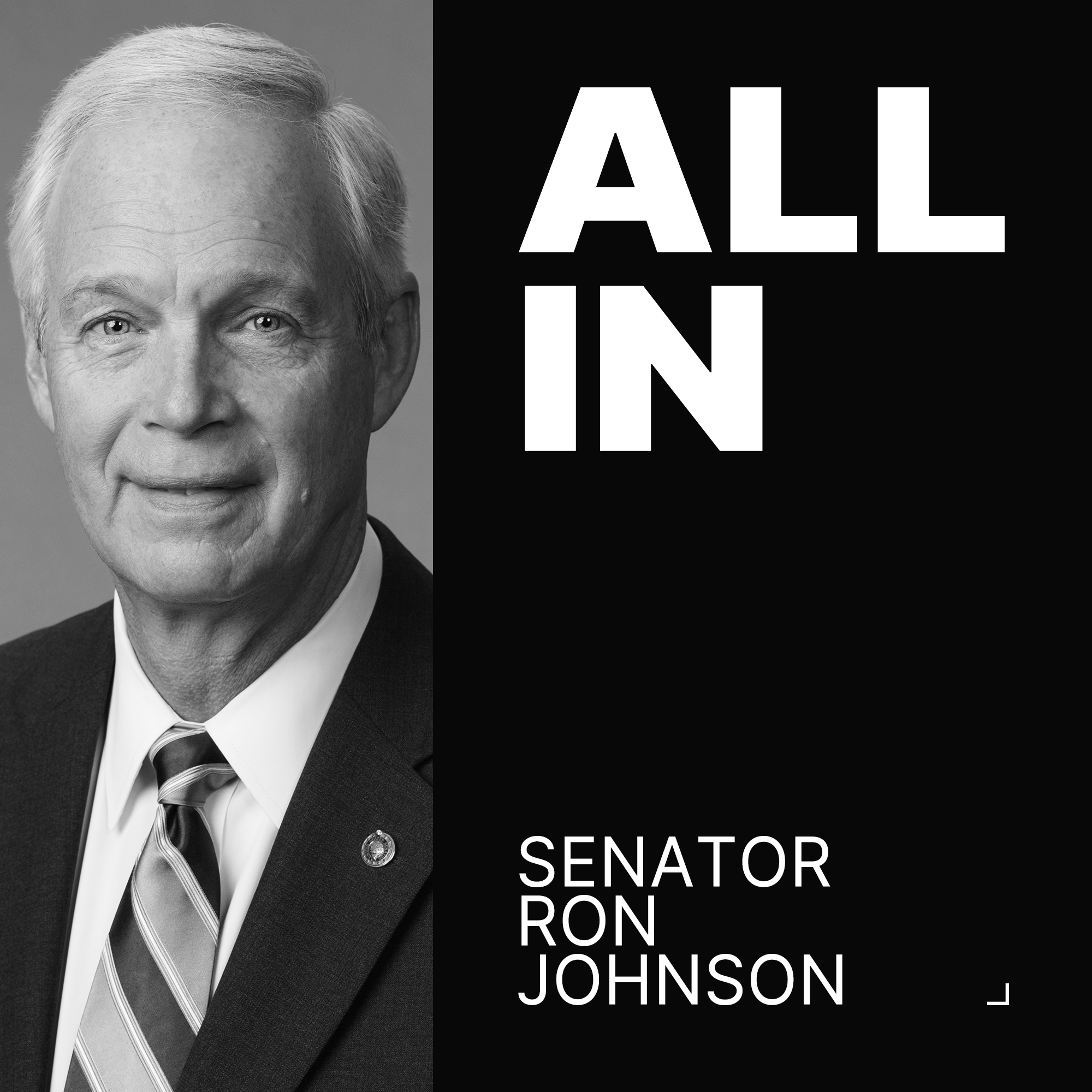 Senator Ron Johnson on the Senate showdown over Trump's Big Beautiful Bill | All-In Interview by All-In Podcast, LLC