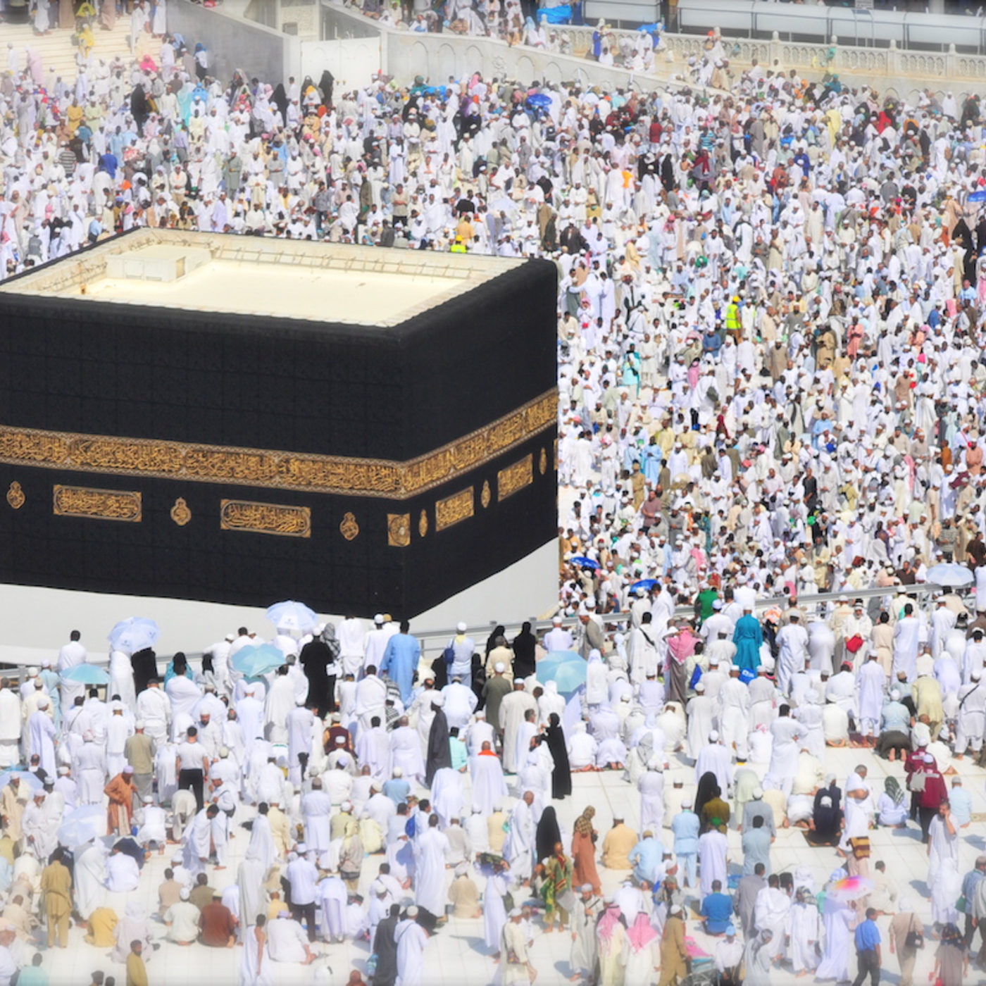 #55 — Islamism vs Secularism