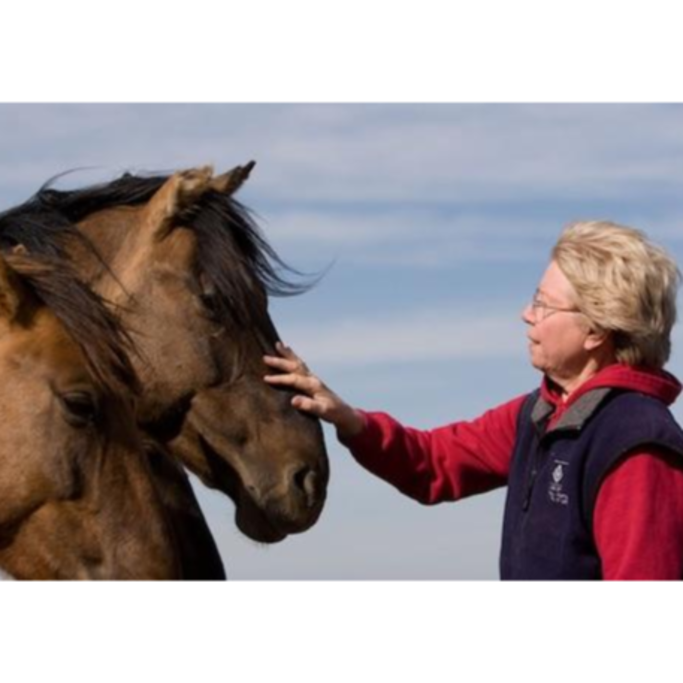 Karen Sussman: Pioneer for Wild Horse Advocacy by Camron Adibi
